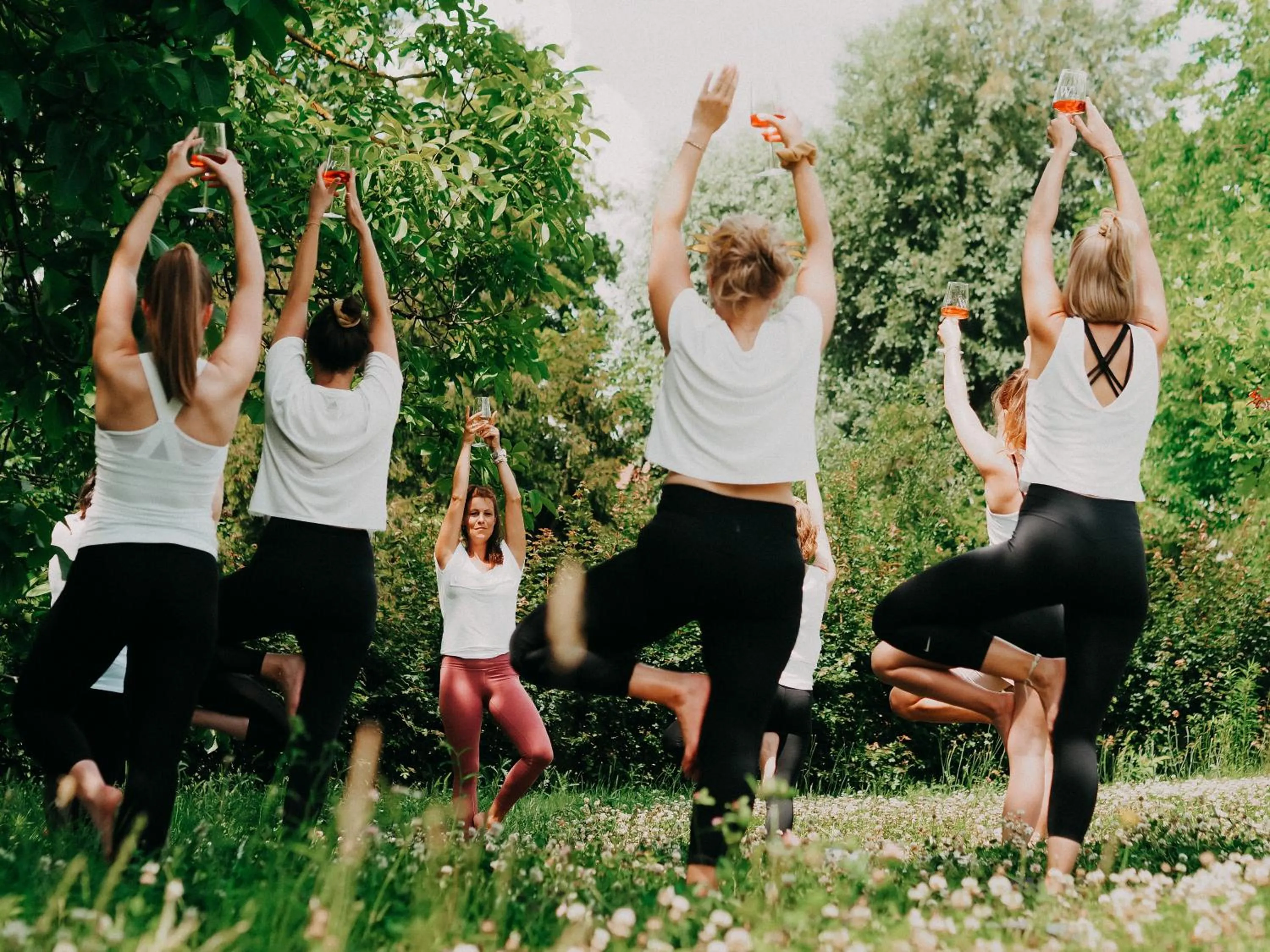 Activities in Weinhotel Wasem