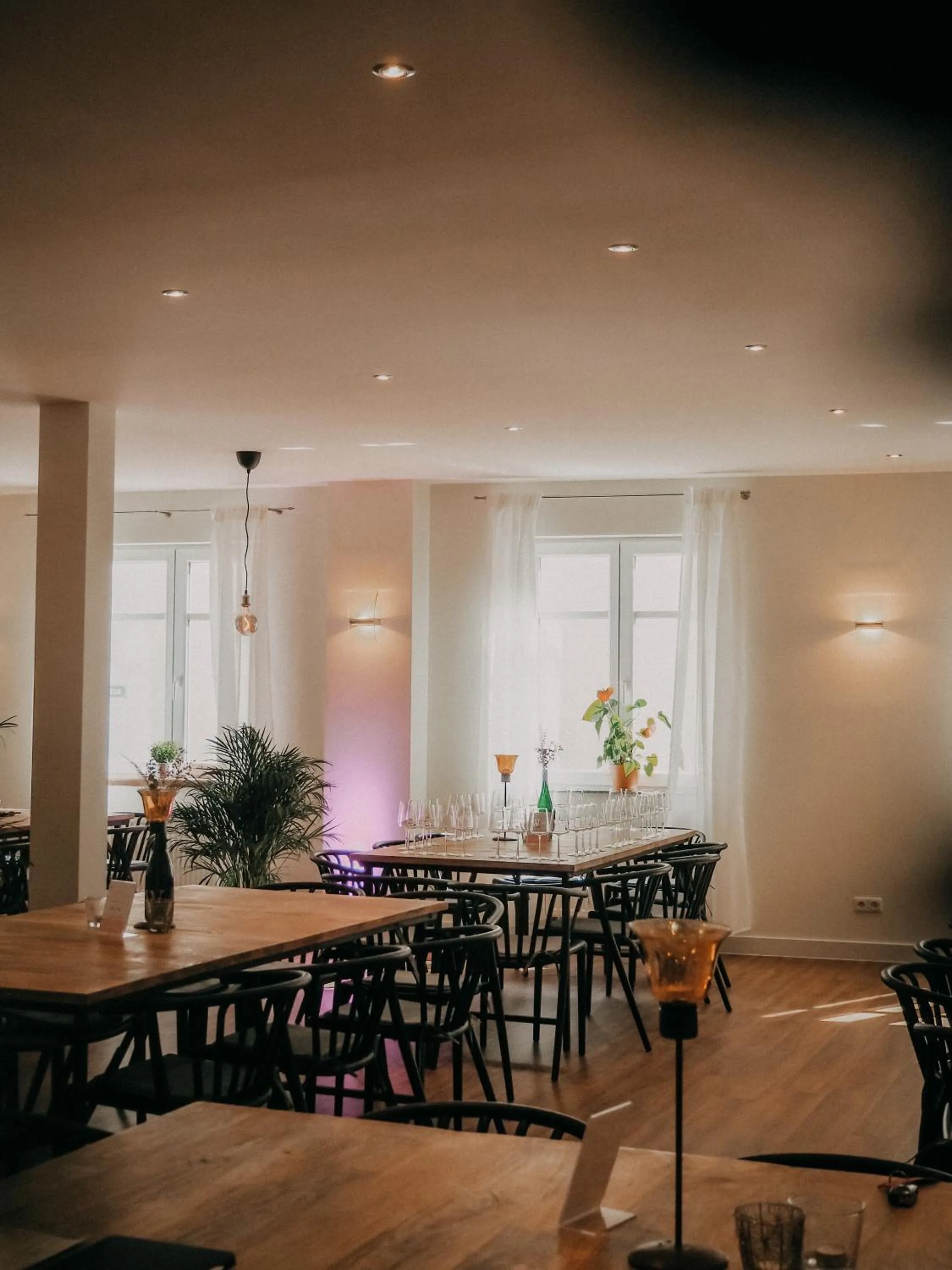 Lounge or bar in Weinhotel Wasem