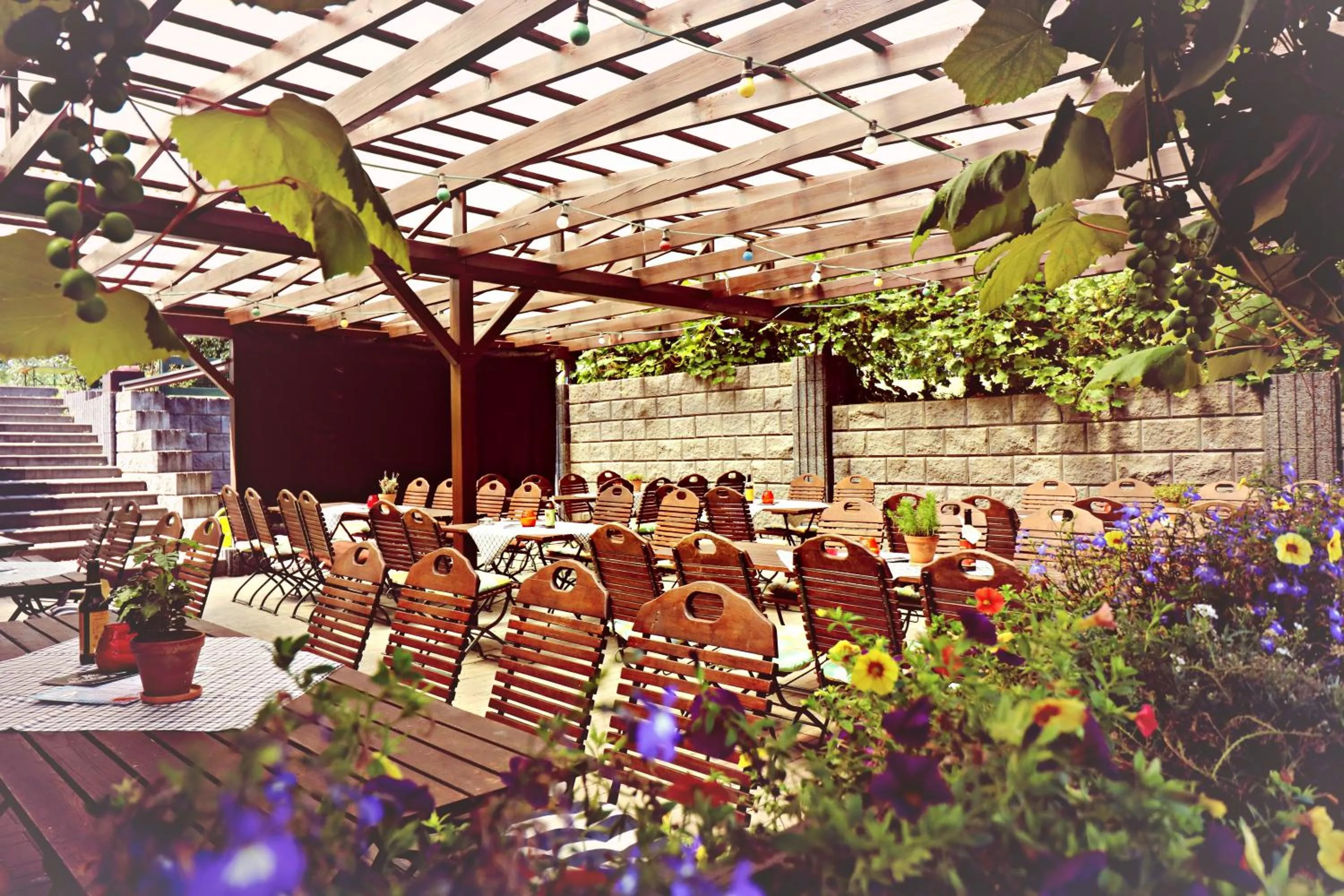 Garden view in Landhotel Krausnick