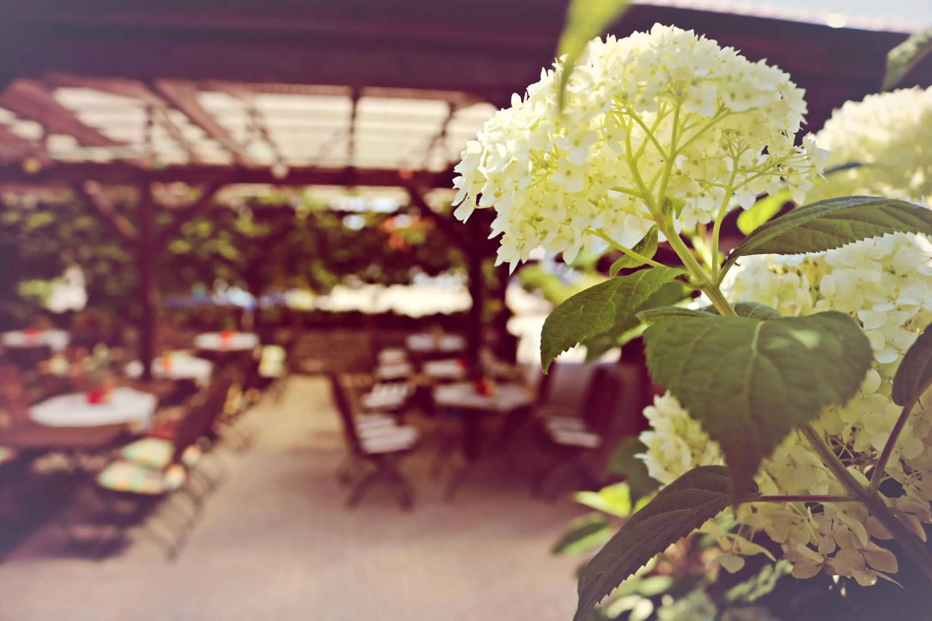 Garden view in Landhotel Krausnick