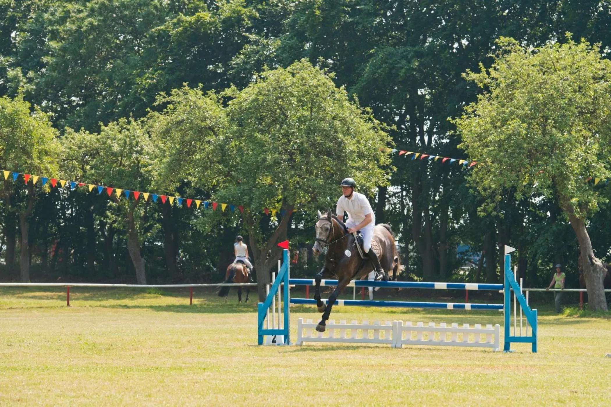 Other in Romantik Hotel Gutshaus Ludorf