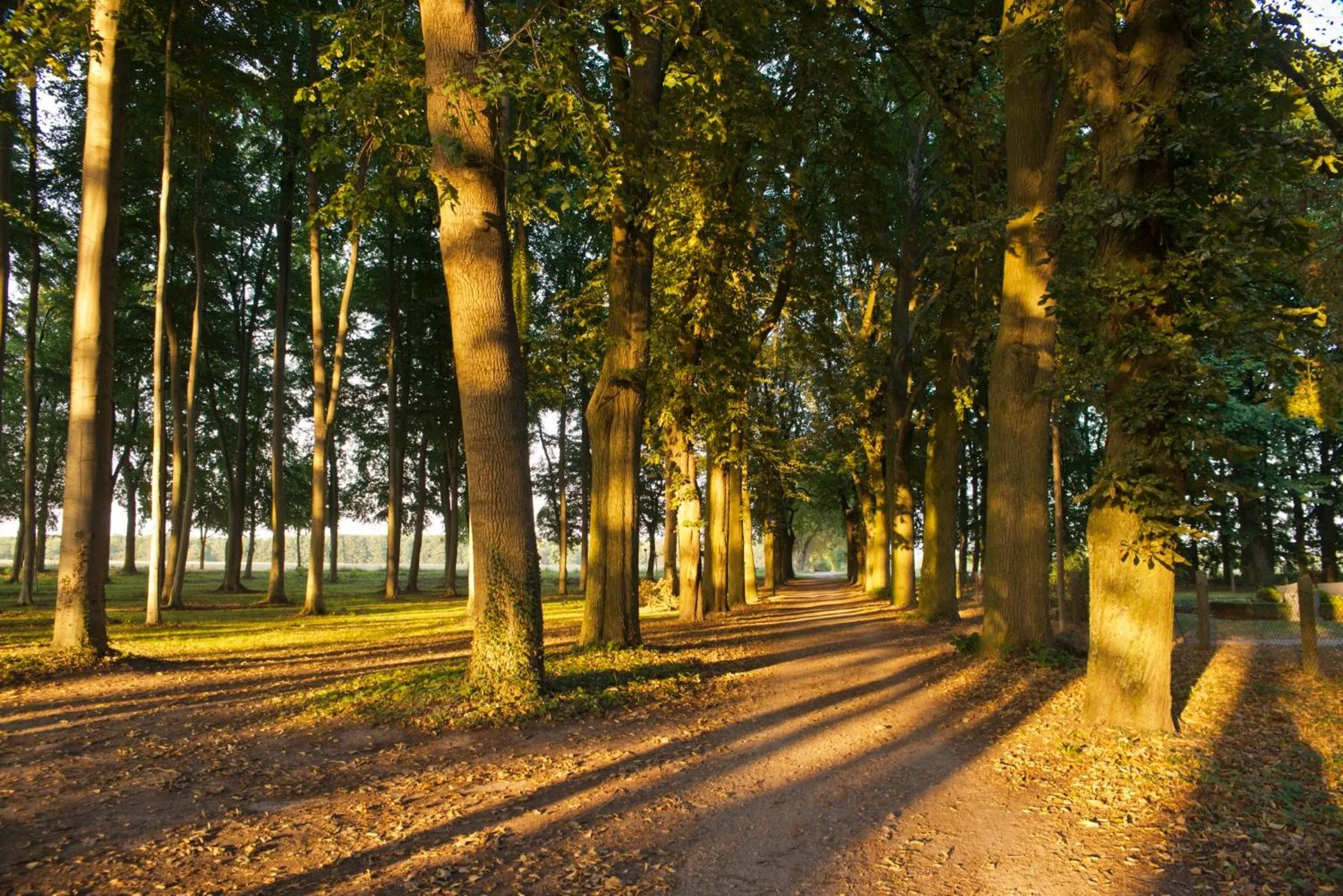Other in Romantik Hotel Gutshaus Ludorf