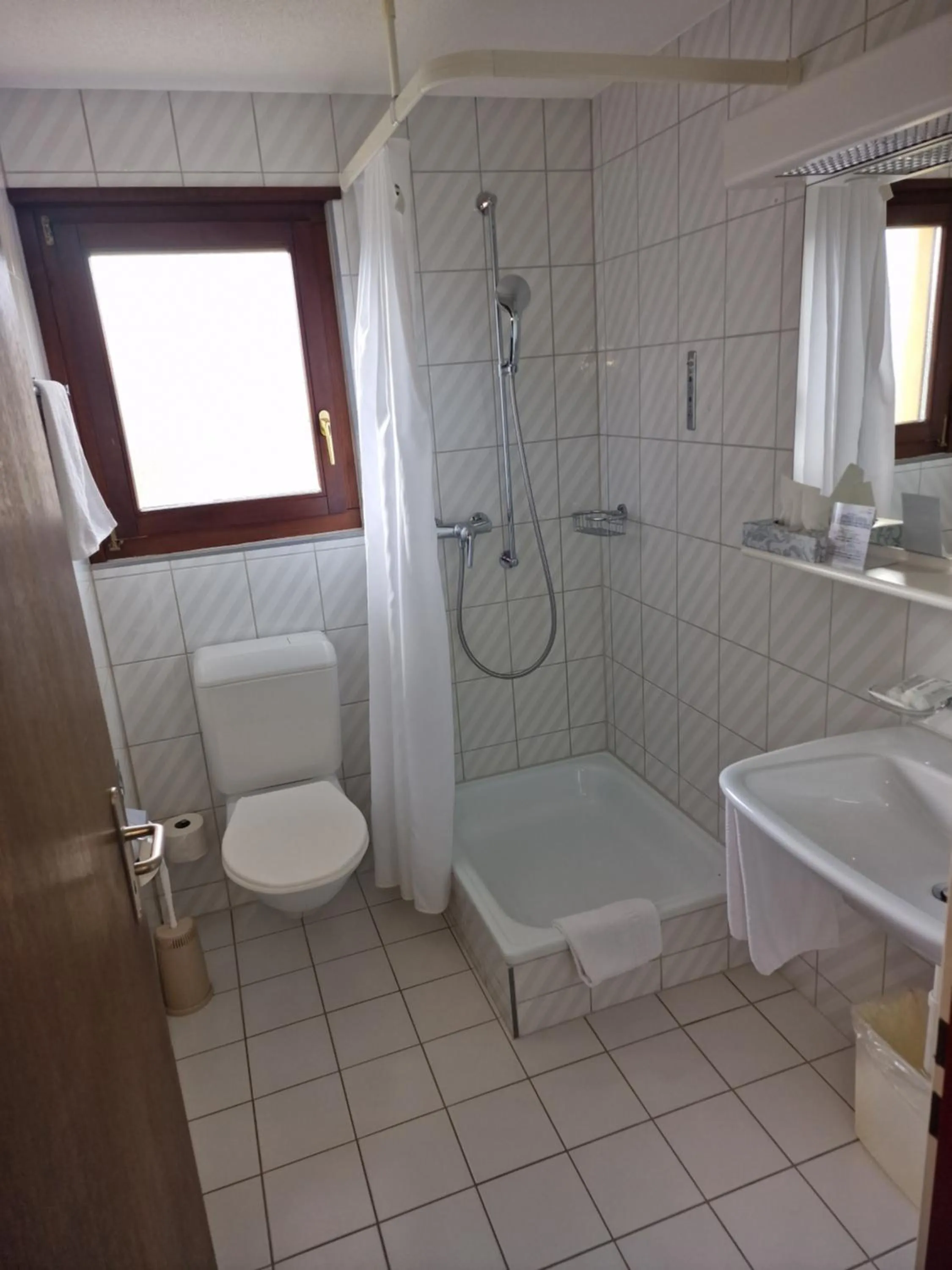 Bathroom in Hotel Alpha Thun