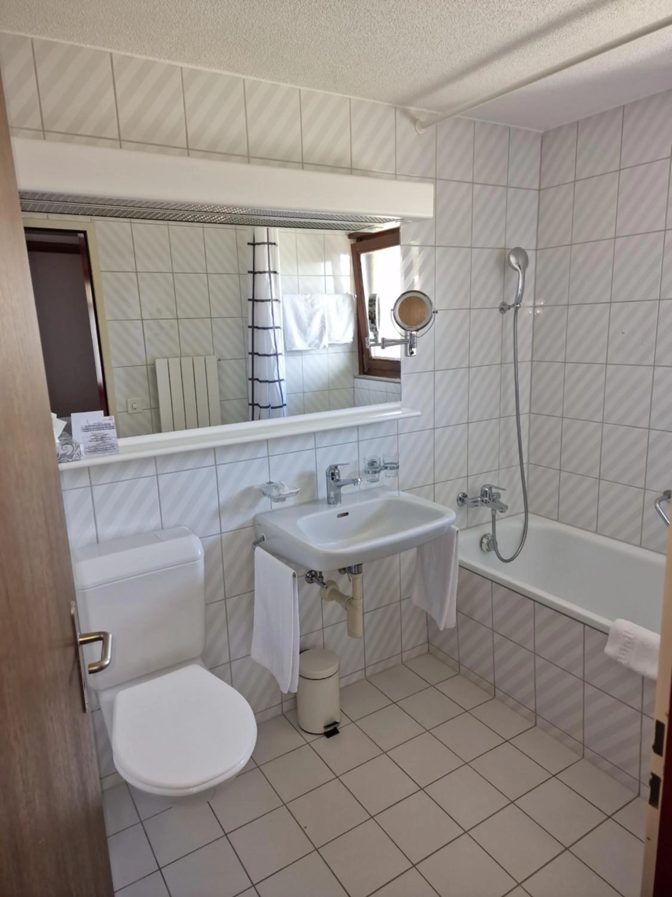 Bathroom in Hotel Alpha Thun