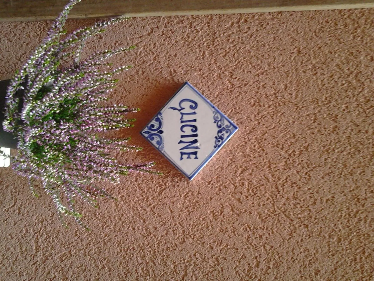 Logo/Certificate/Sign in Il Cortile Fiorito
