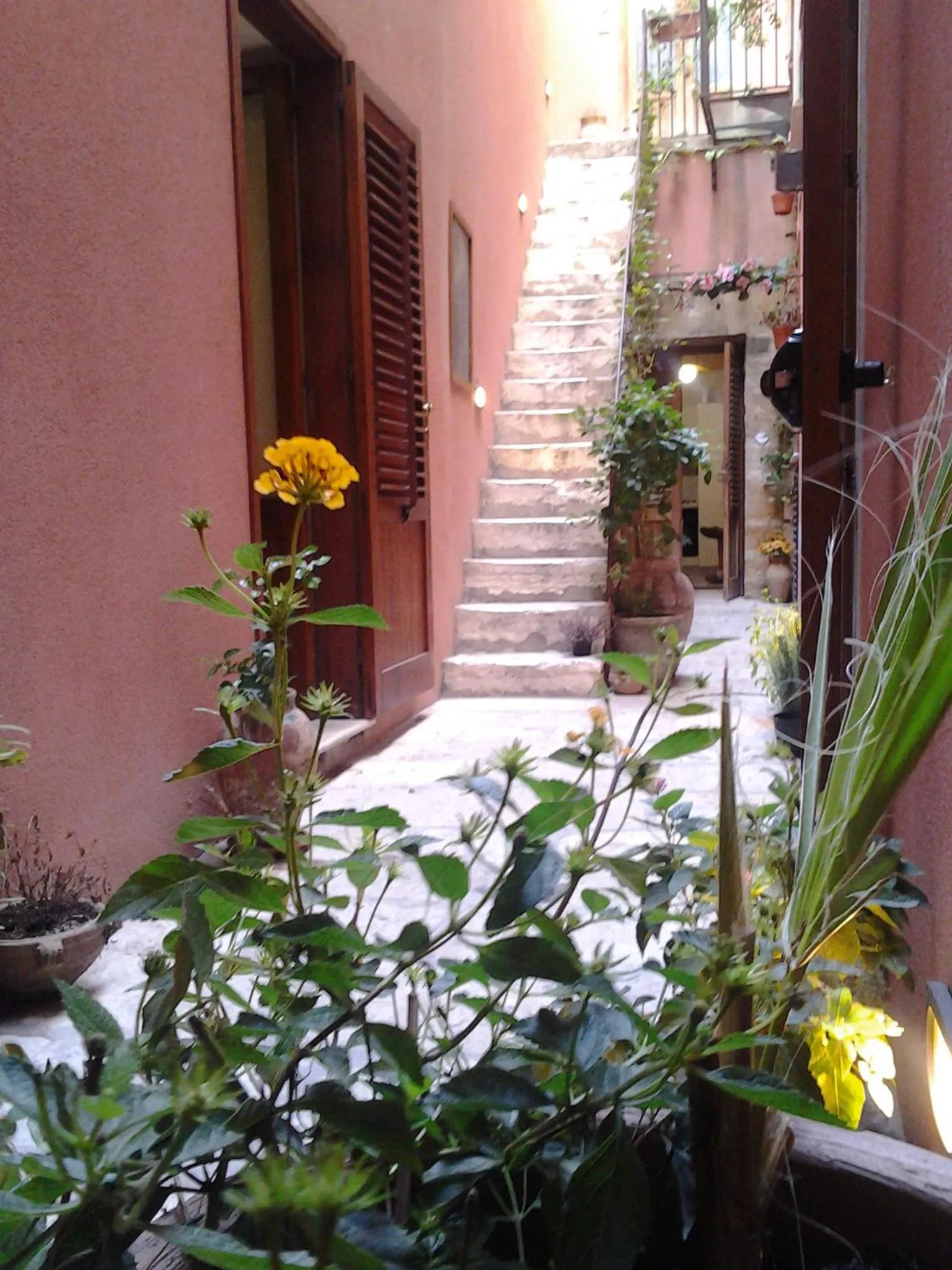 Patio in Il Cortile Fiorito