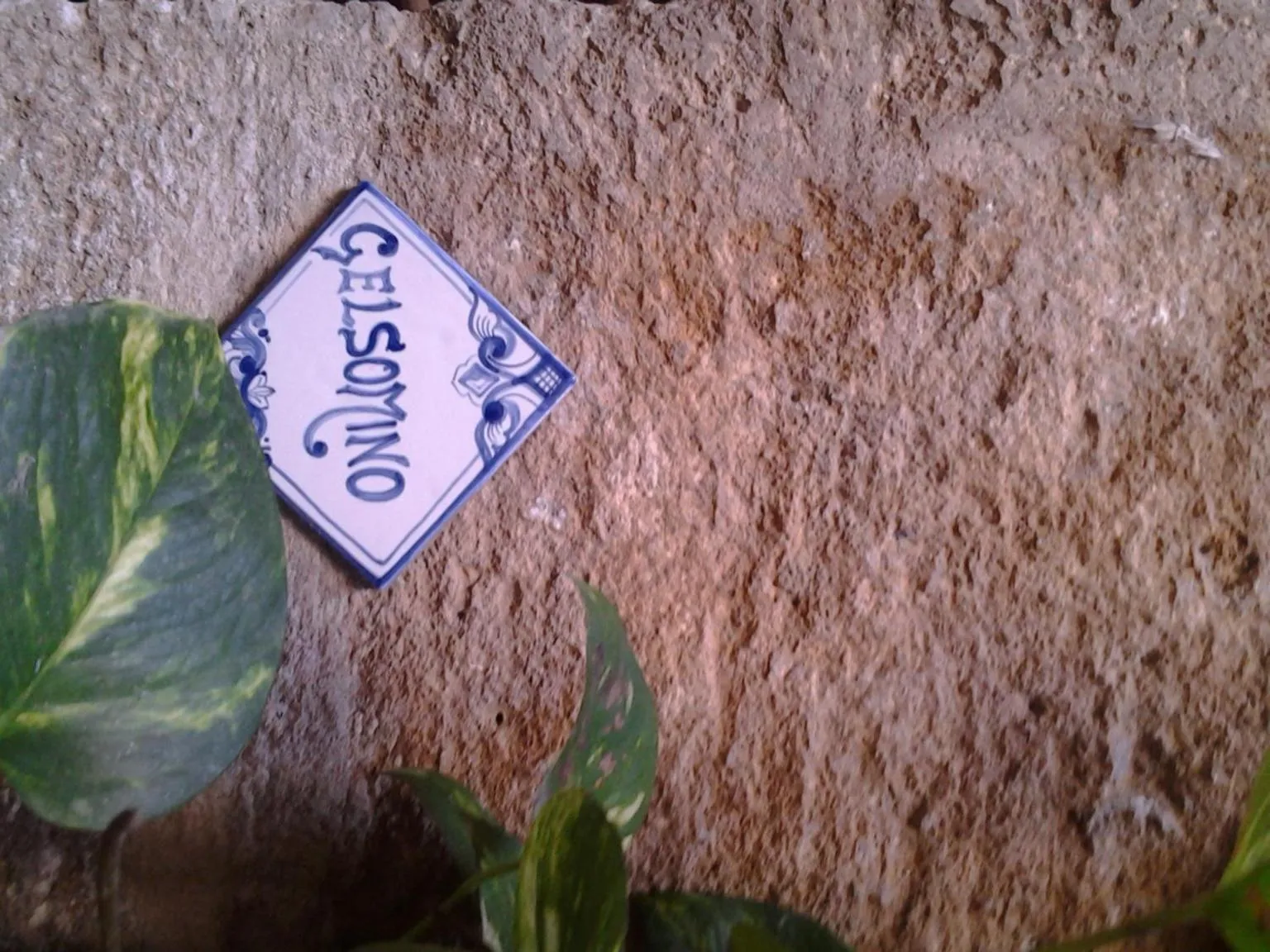 Logo/Certificate/Sign in Il Cortile Fiorito
