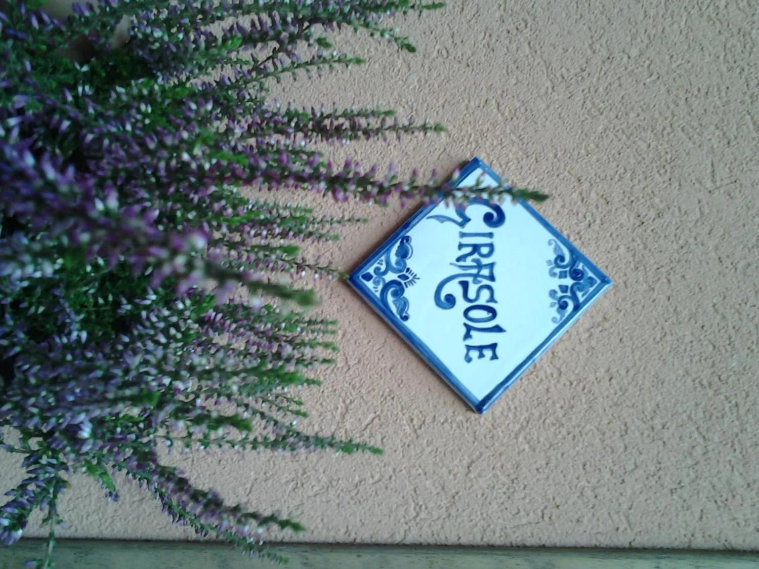 Logo/Certificate/Sign in Il Cortile Fiorito
