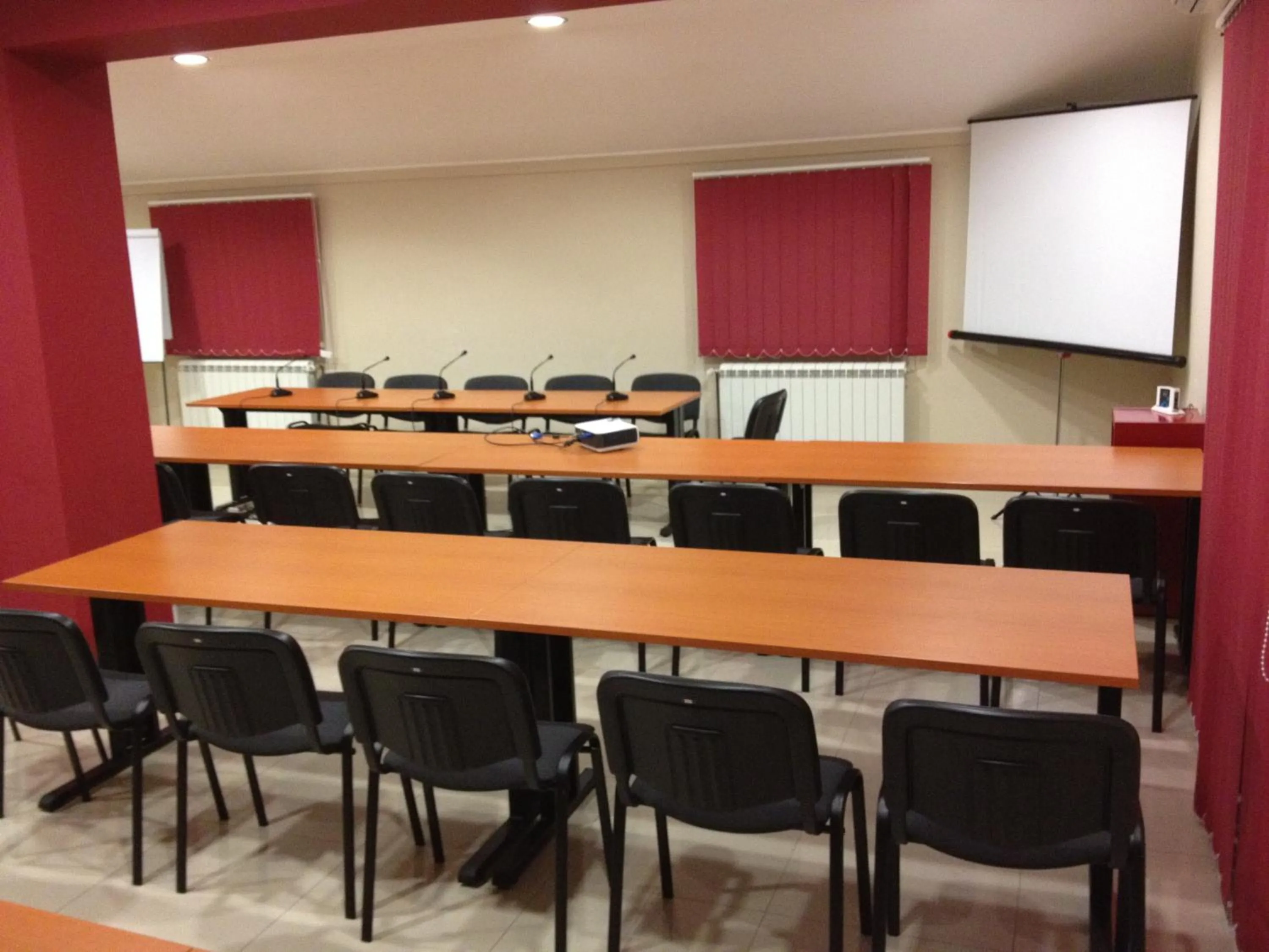 Business facilities in Hotel 1000 Ruza