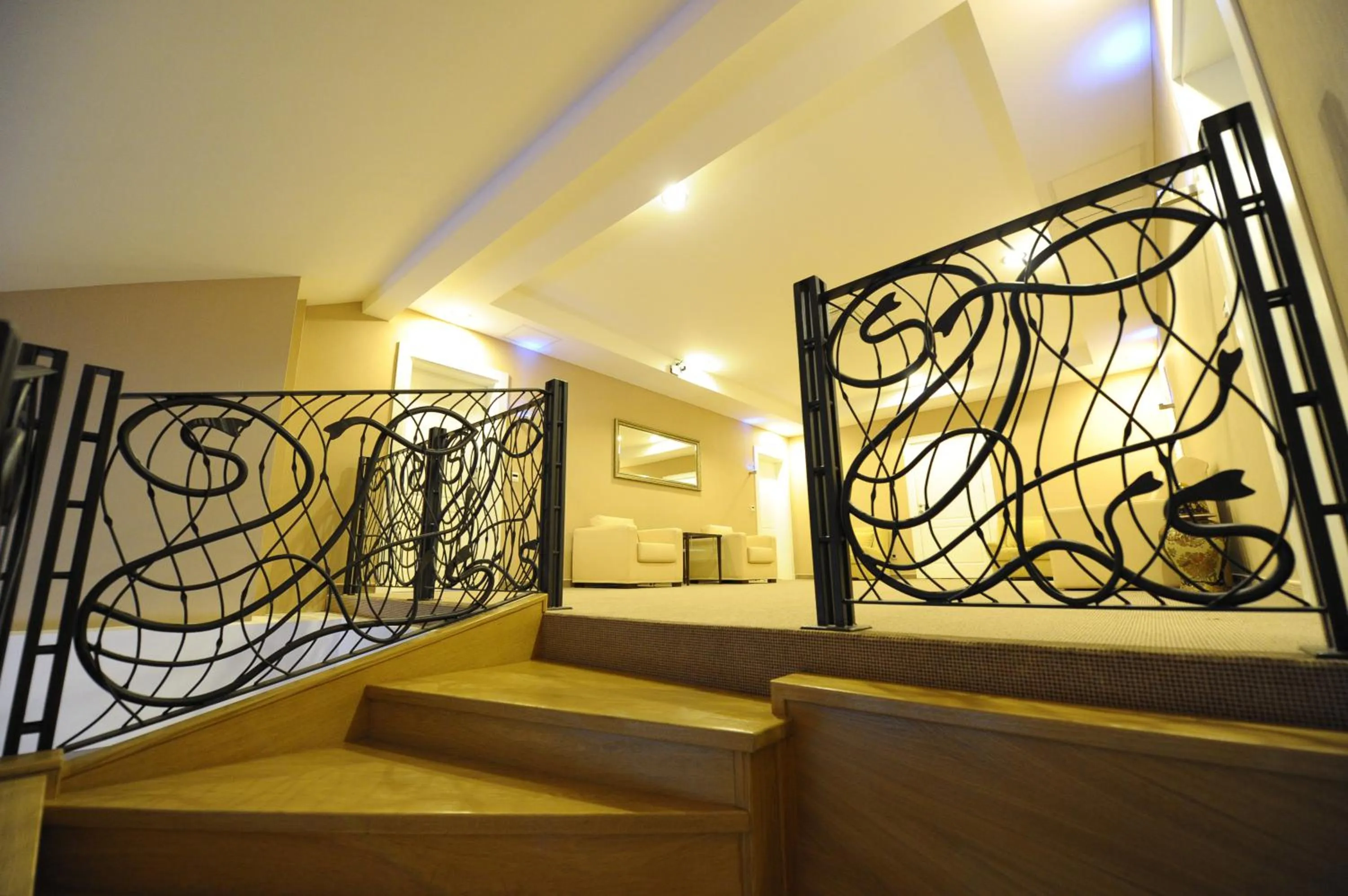 Other in Hotel 1000 Ruza