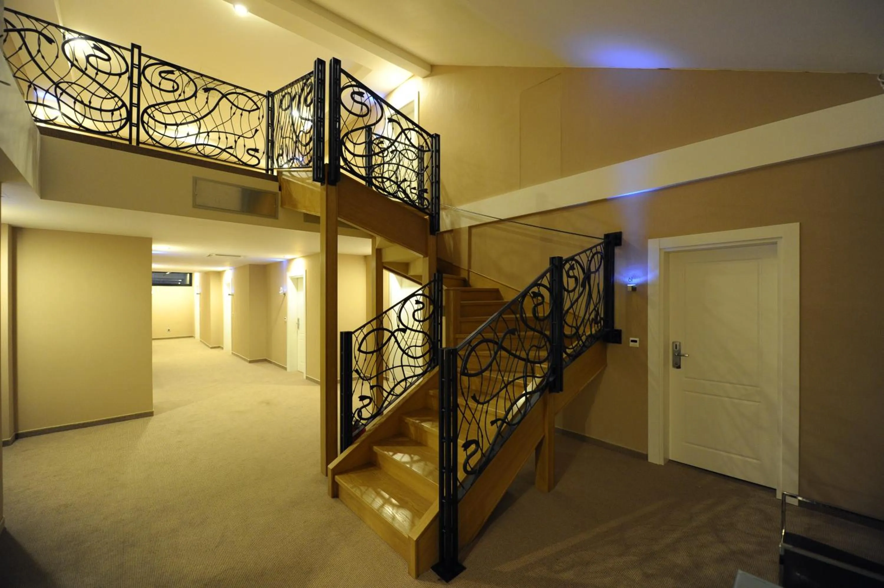 Other in Hotel 1000 Ruza