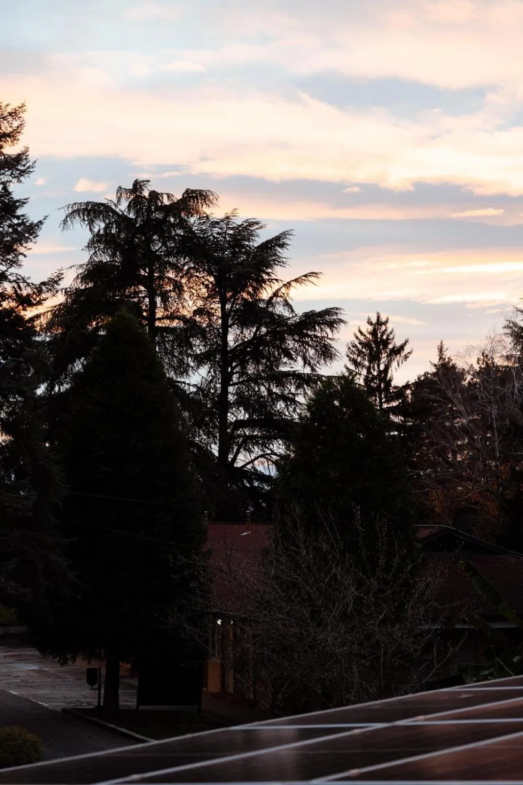 Neighbourhood in Hotel 1000 Ruza