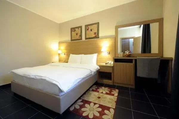 Standard Double or Twin Room in Hotel 1000 Ruza Standard Double or Twin Room in Hotel 1000 Ruza
