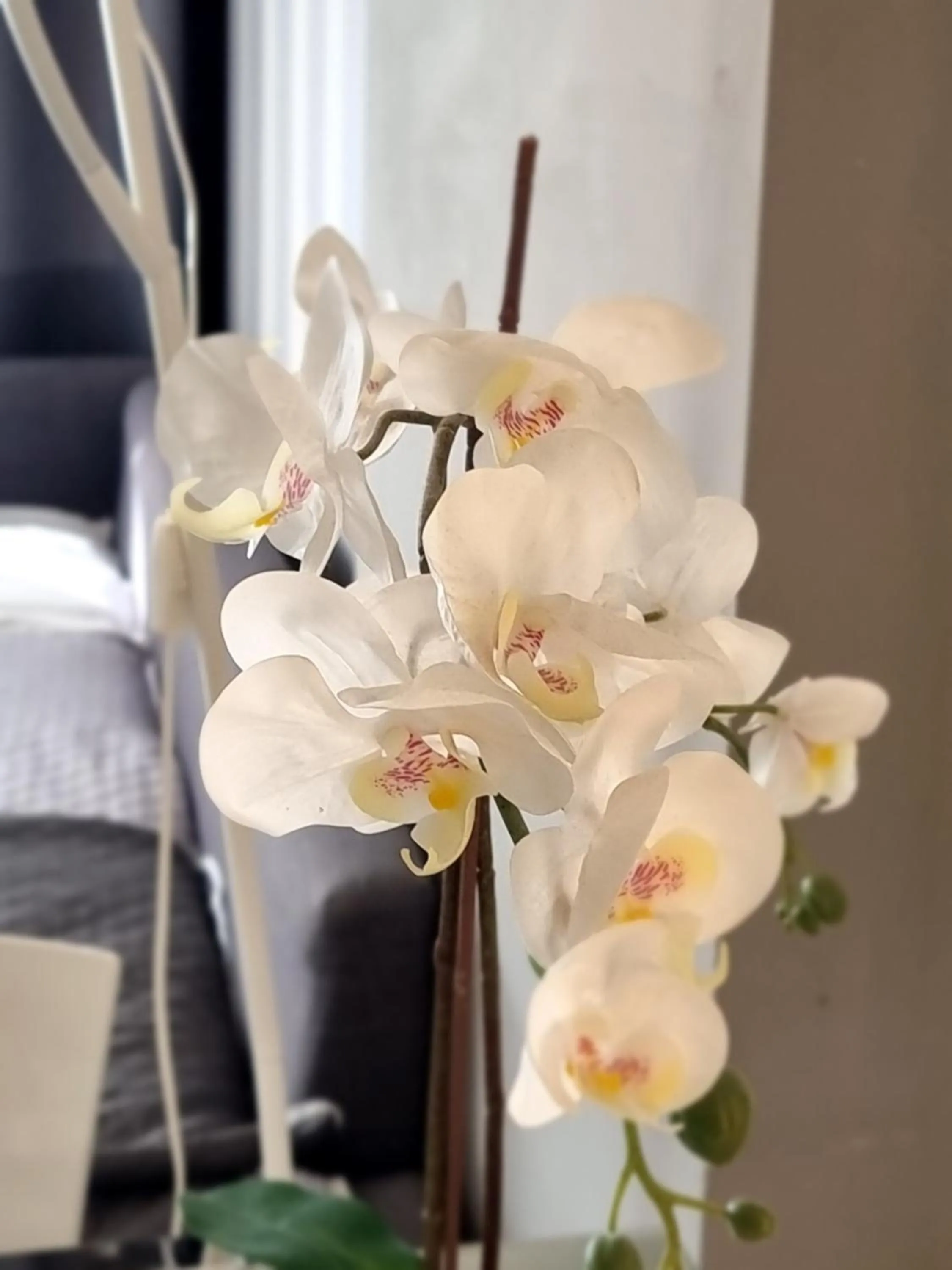 B&B Pescara Centro Luxury Suite