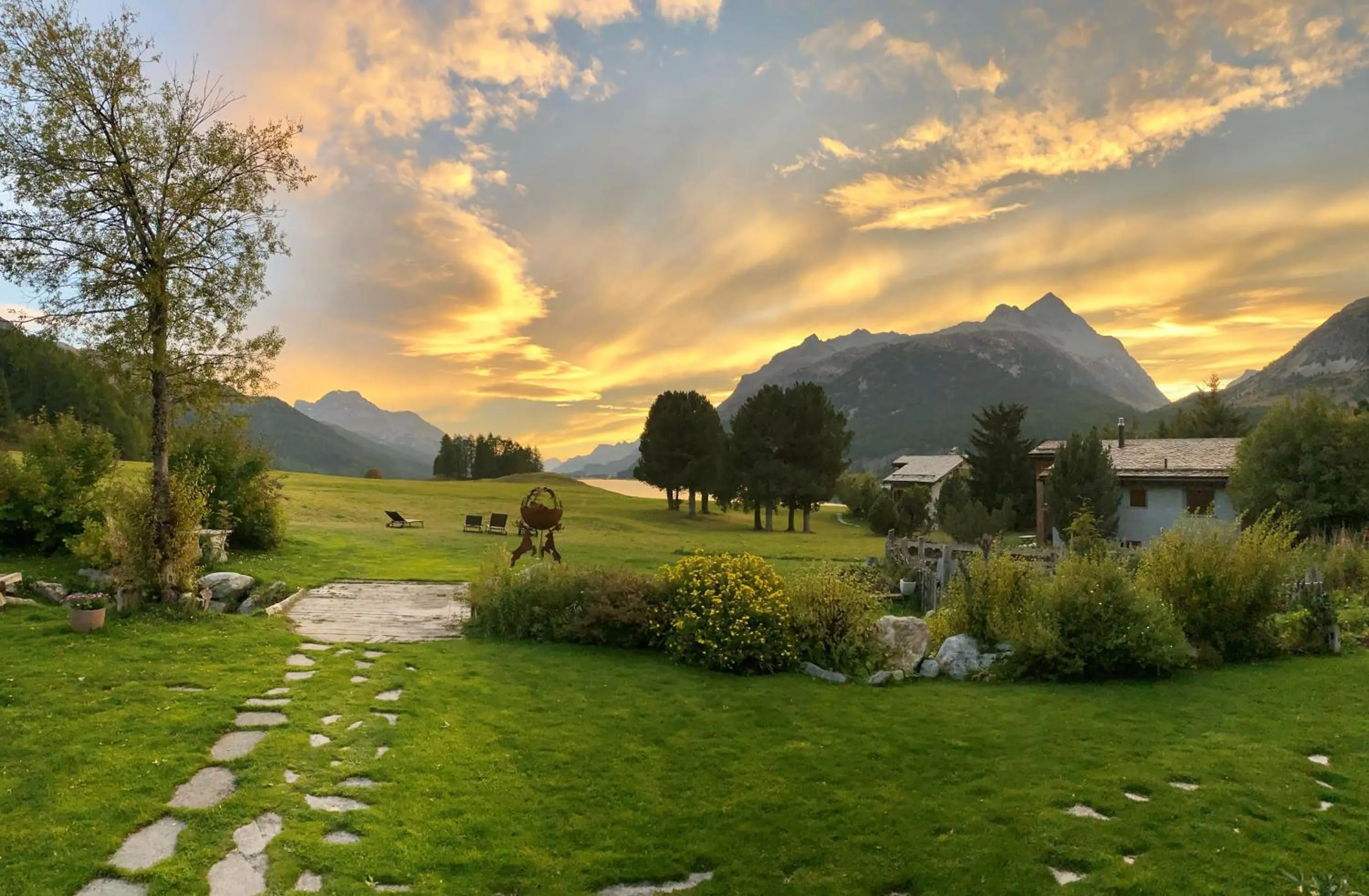 Garden in Hotel Bellavista