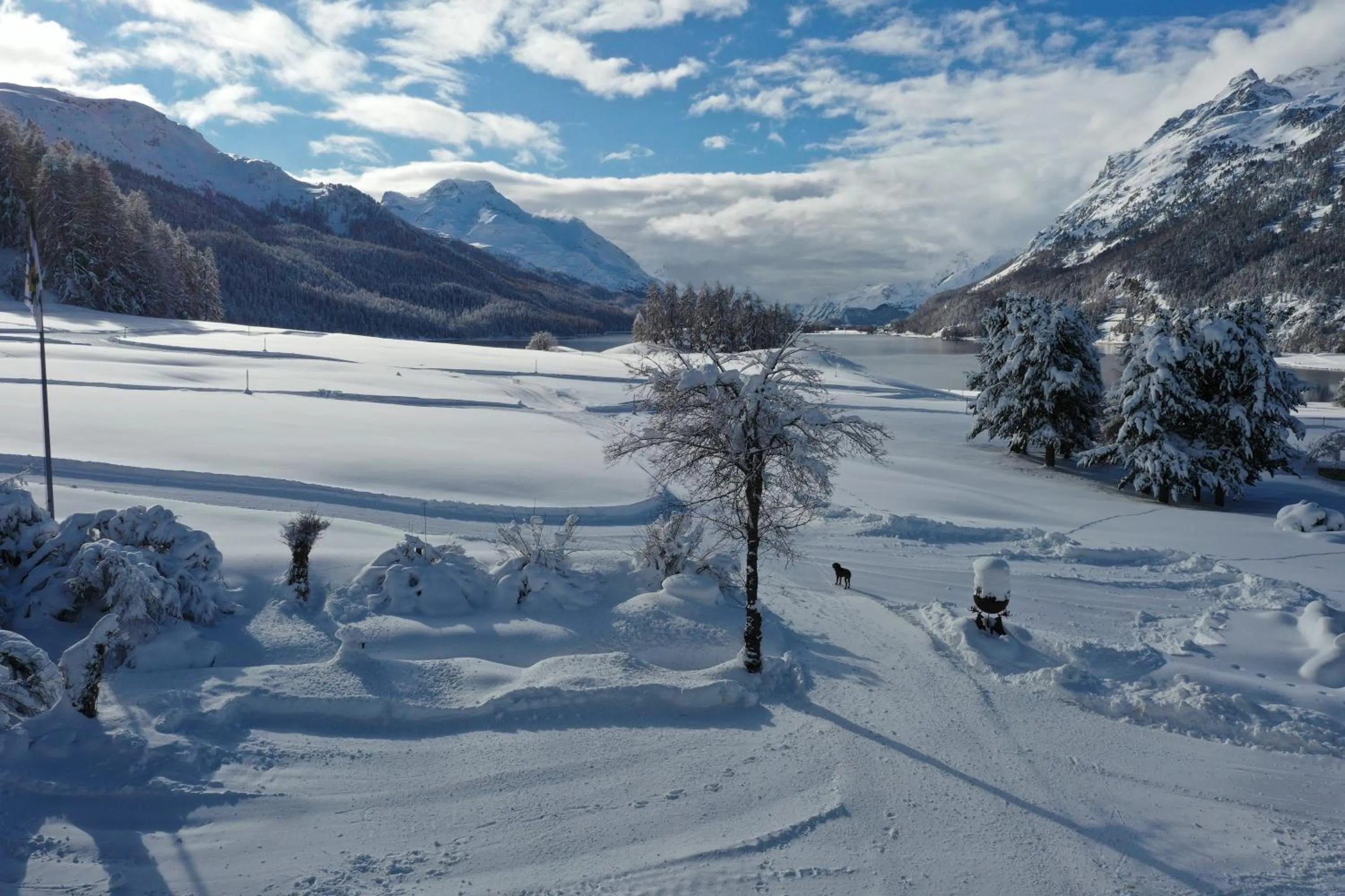 View (from property/room) in Hotel Bellavista