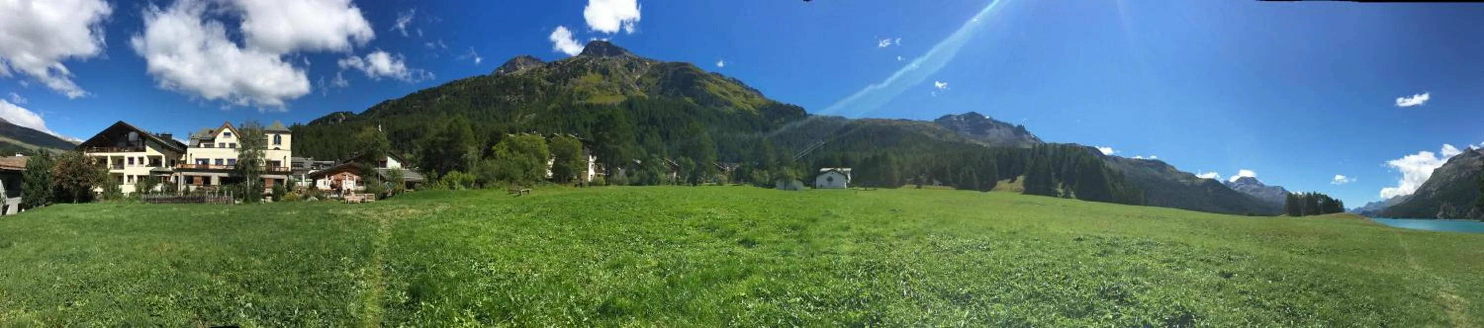 Garden in Hotel Bellavista