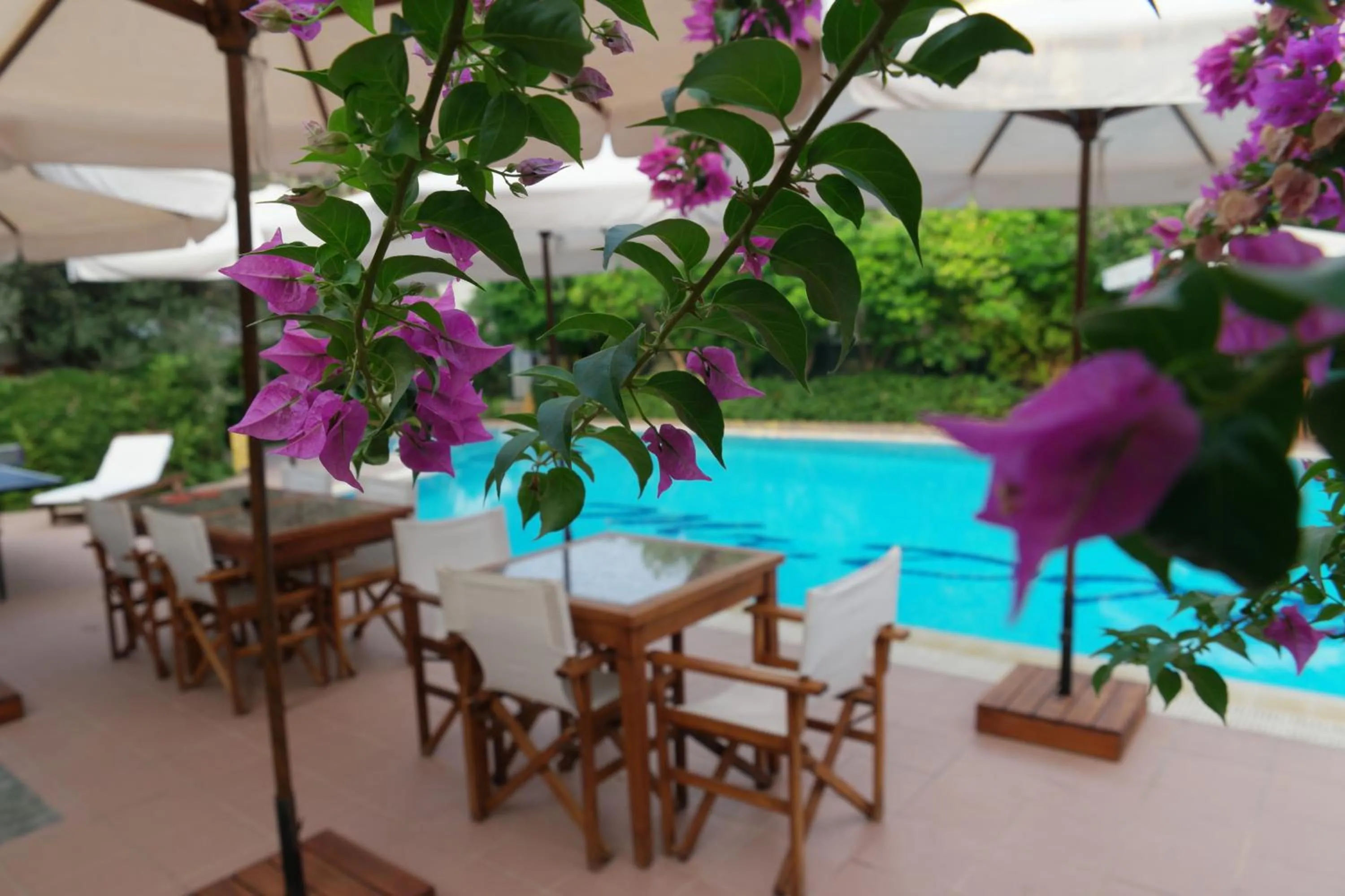 Summer in Mr. Dim Exclusive Apart Hotel