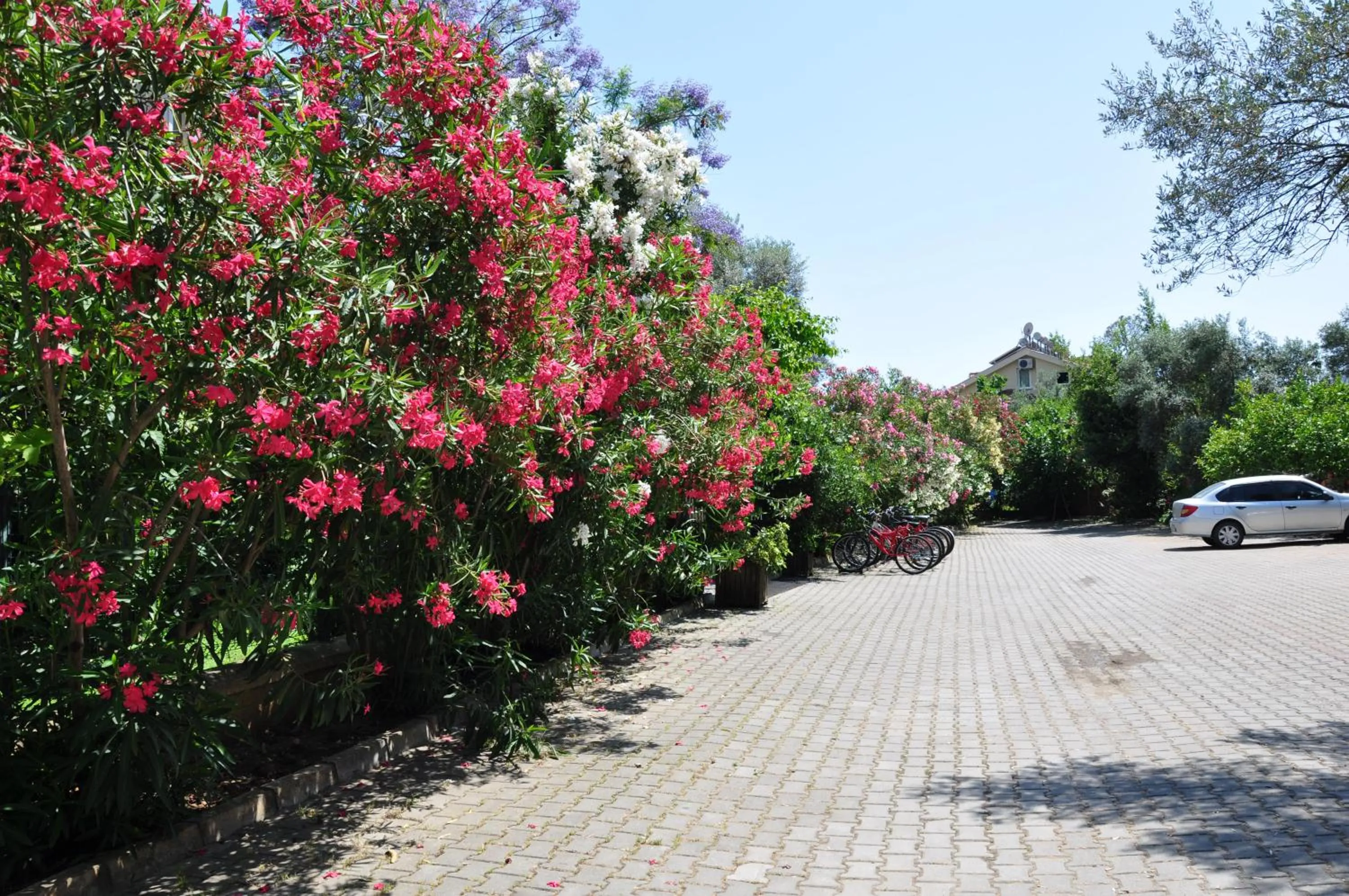 Facade/entrance in Mr. Dim Exclusive Apart Hotel