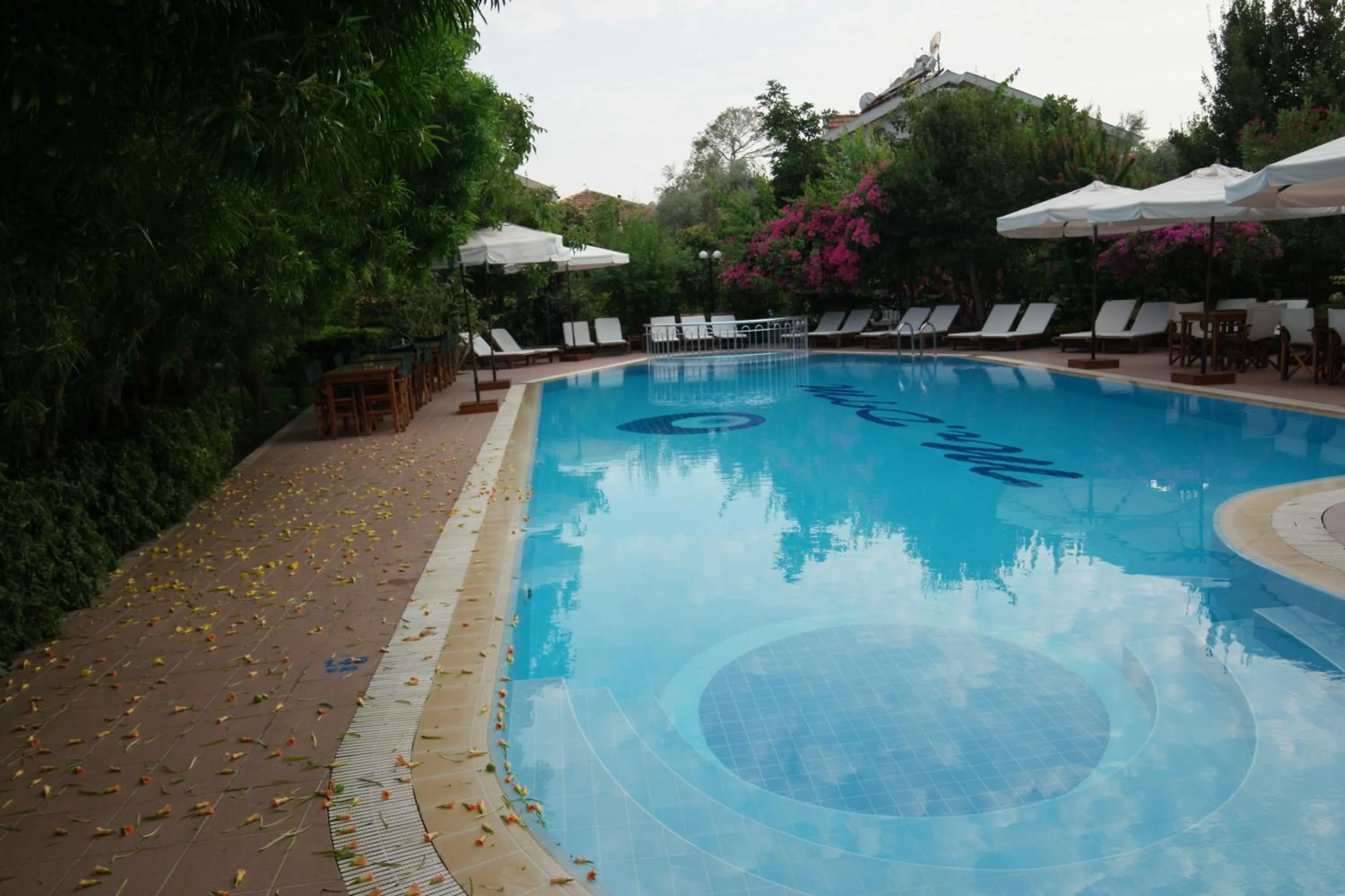 Activities in Mr. Dim Exclusive Apart Hotel