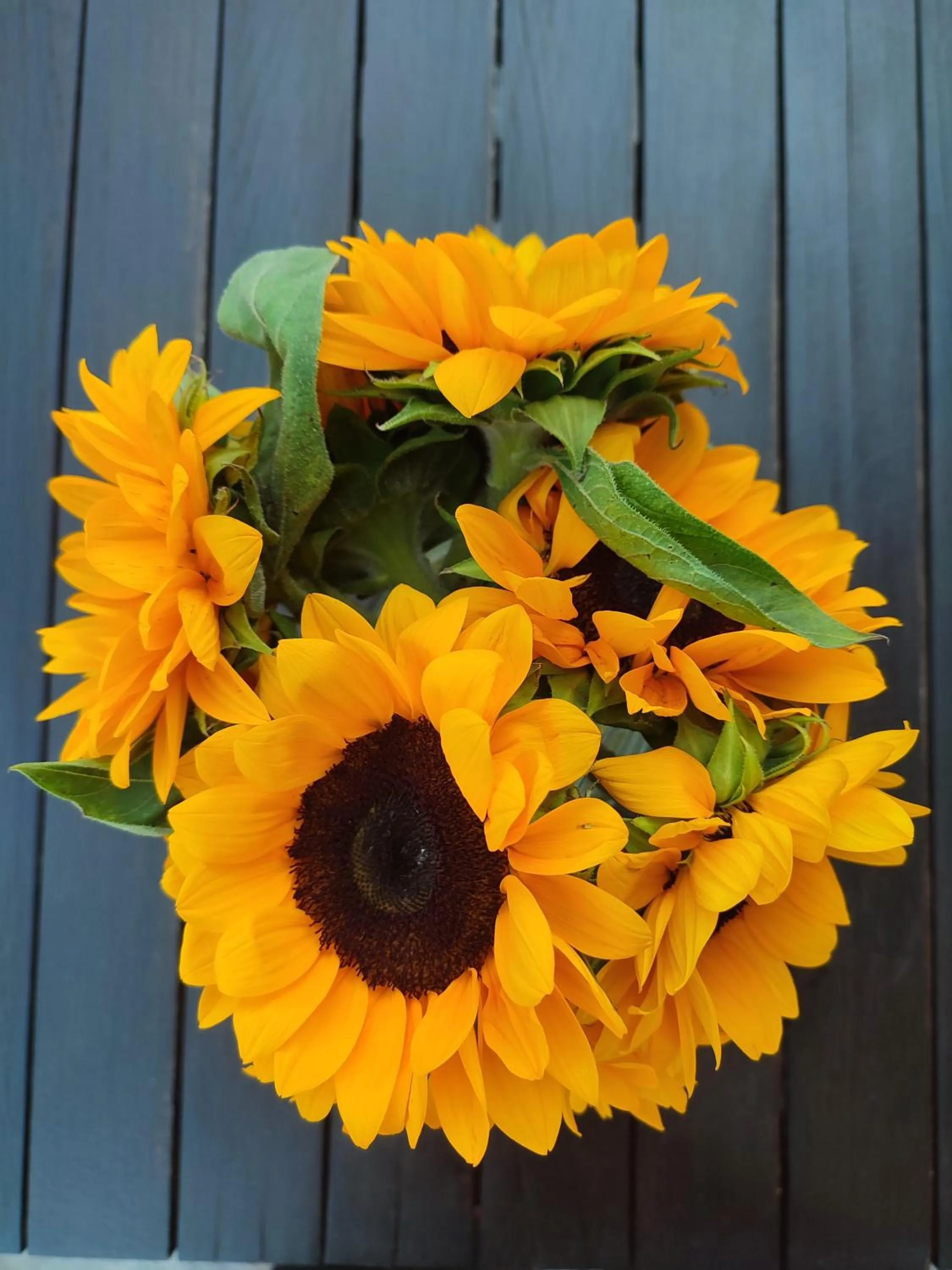 Decorative detail in Helianthus Guesthouse