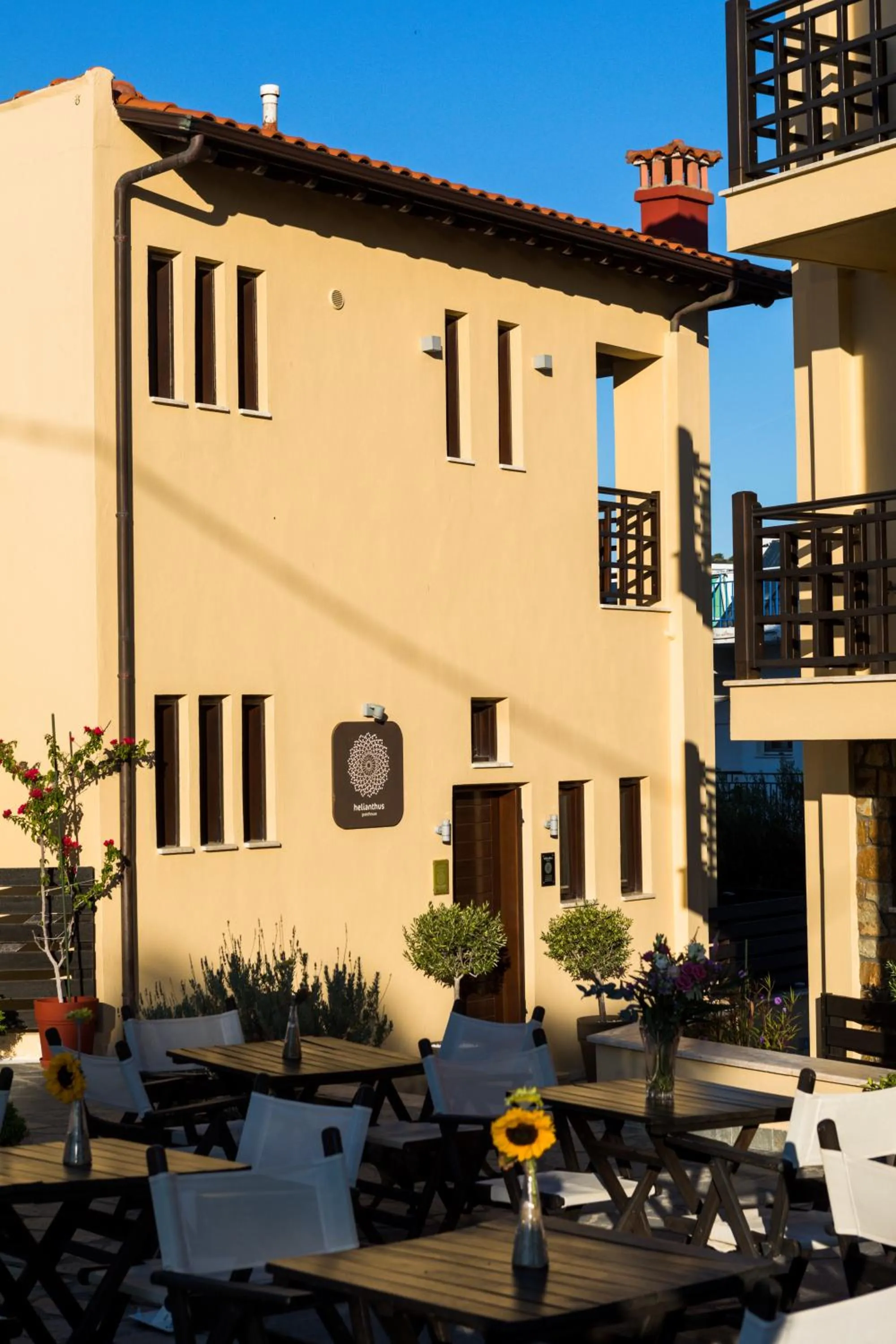 Property building in Helianthus Guesthouse