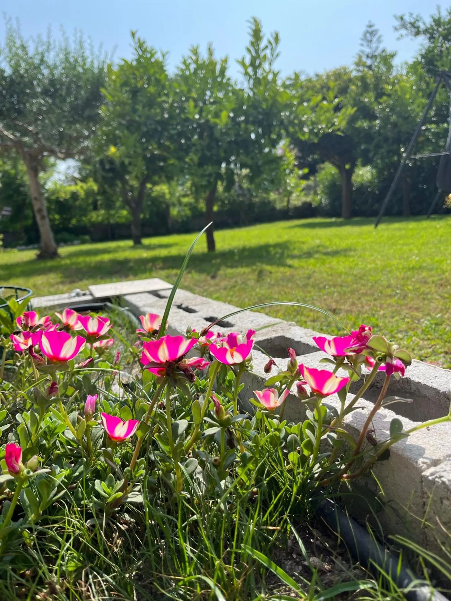 Property building in B&B da Francesco