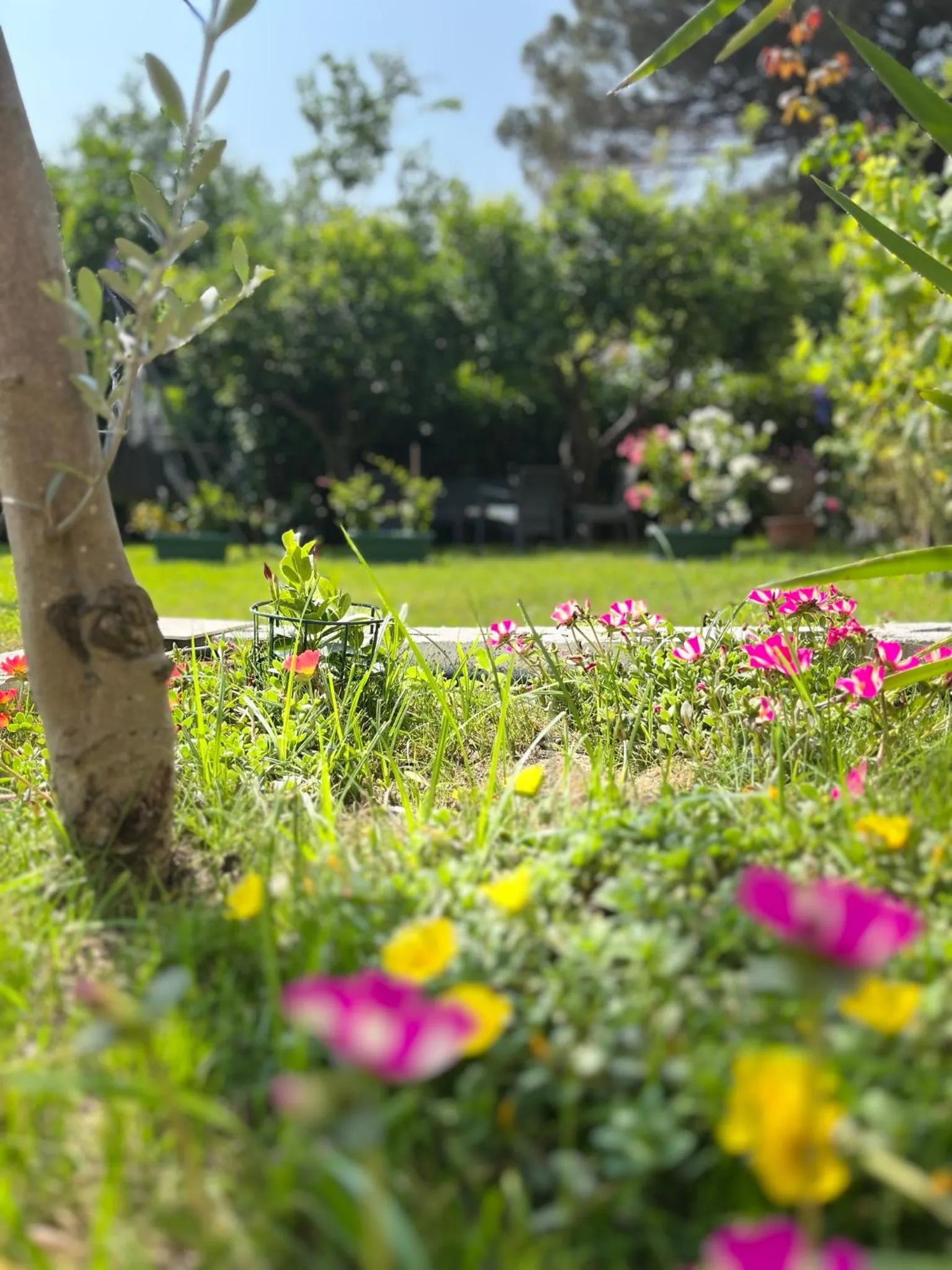 Property building in B&B da Francesco