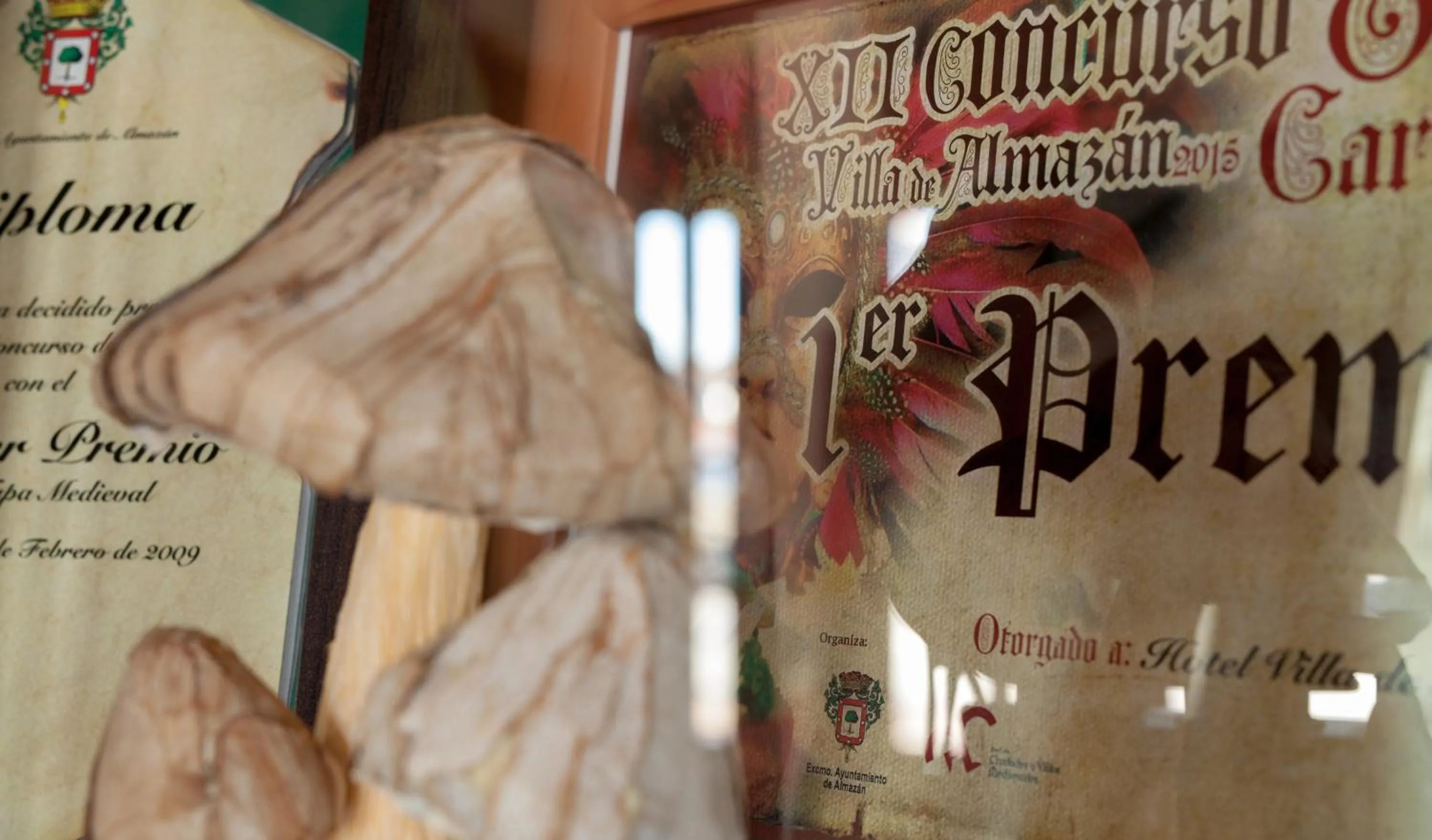 Certificate/Award in Hotel Villa De Almazan