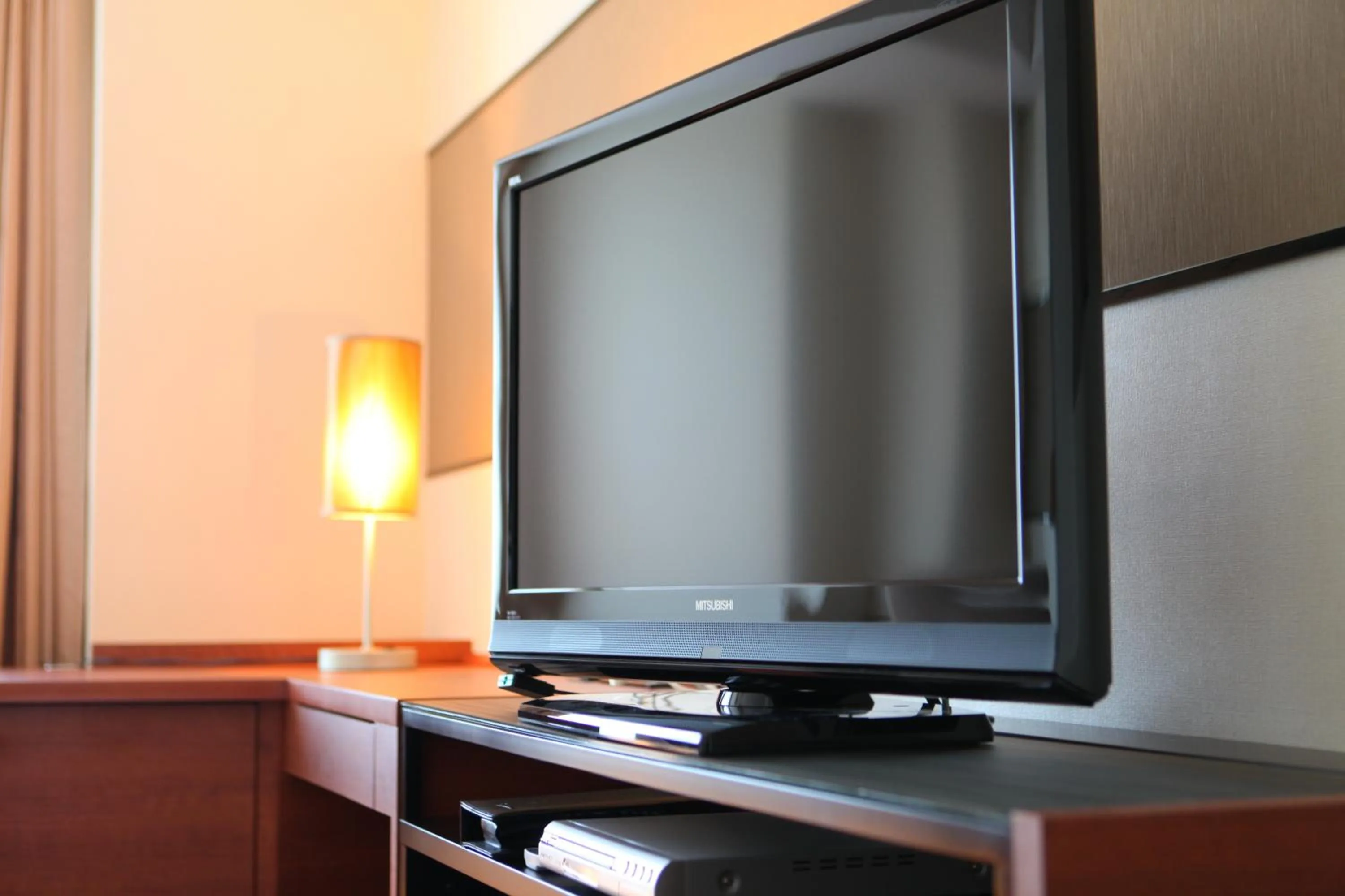 TV and multimedia in International Resort Hotel Yurakujo