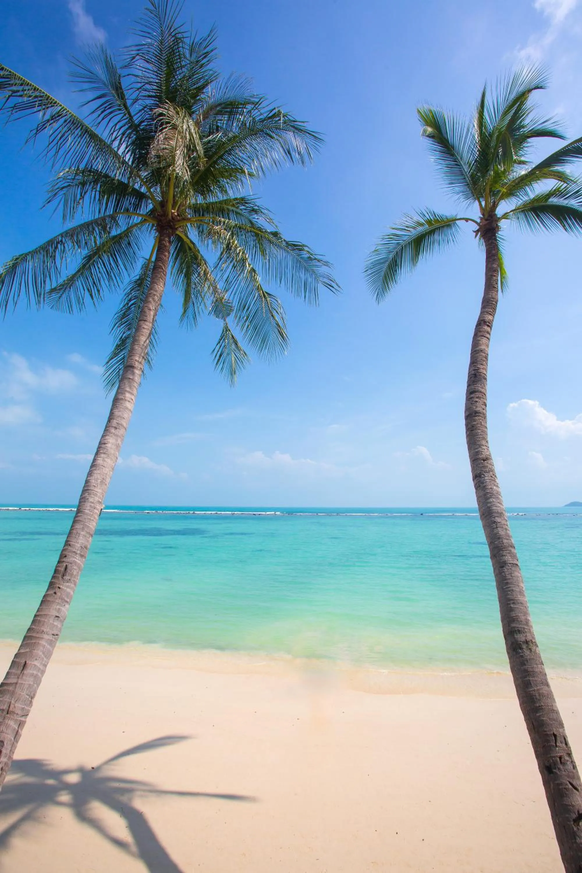 Beach in Chaweng Regent Beach Resort