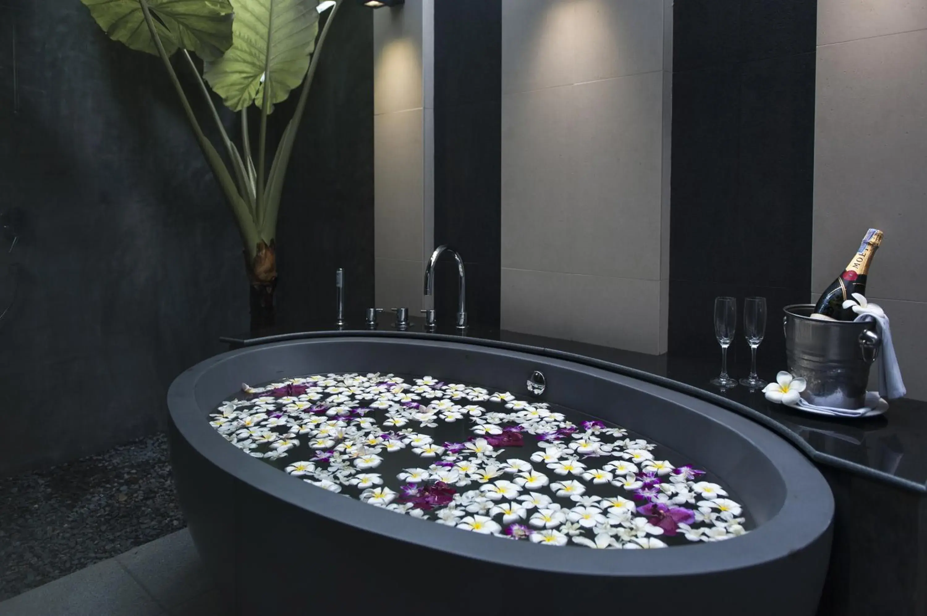 Deluxe Regency with Pool View in Chaweng Regent Beach Resort Deluxe Regency with Pool View in Chaweng Regent Beach Resort