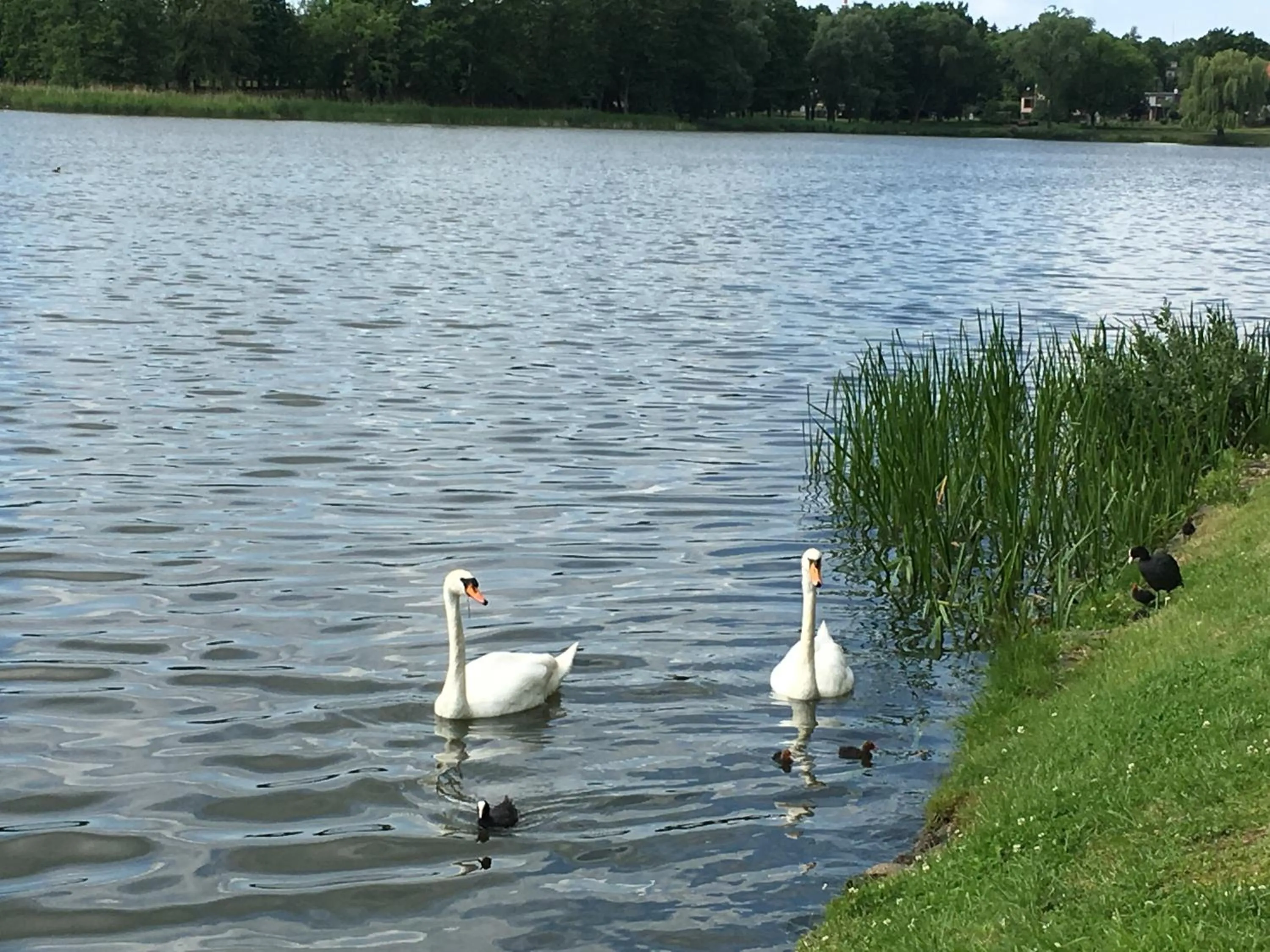 Property building in Neptun