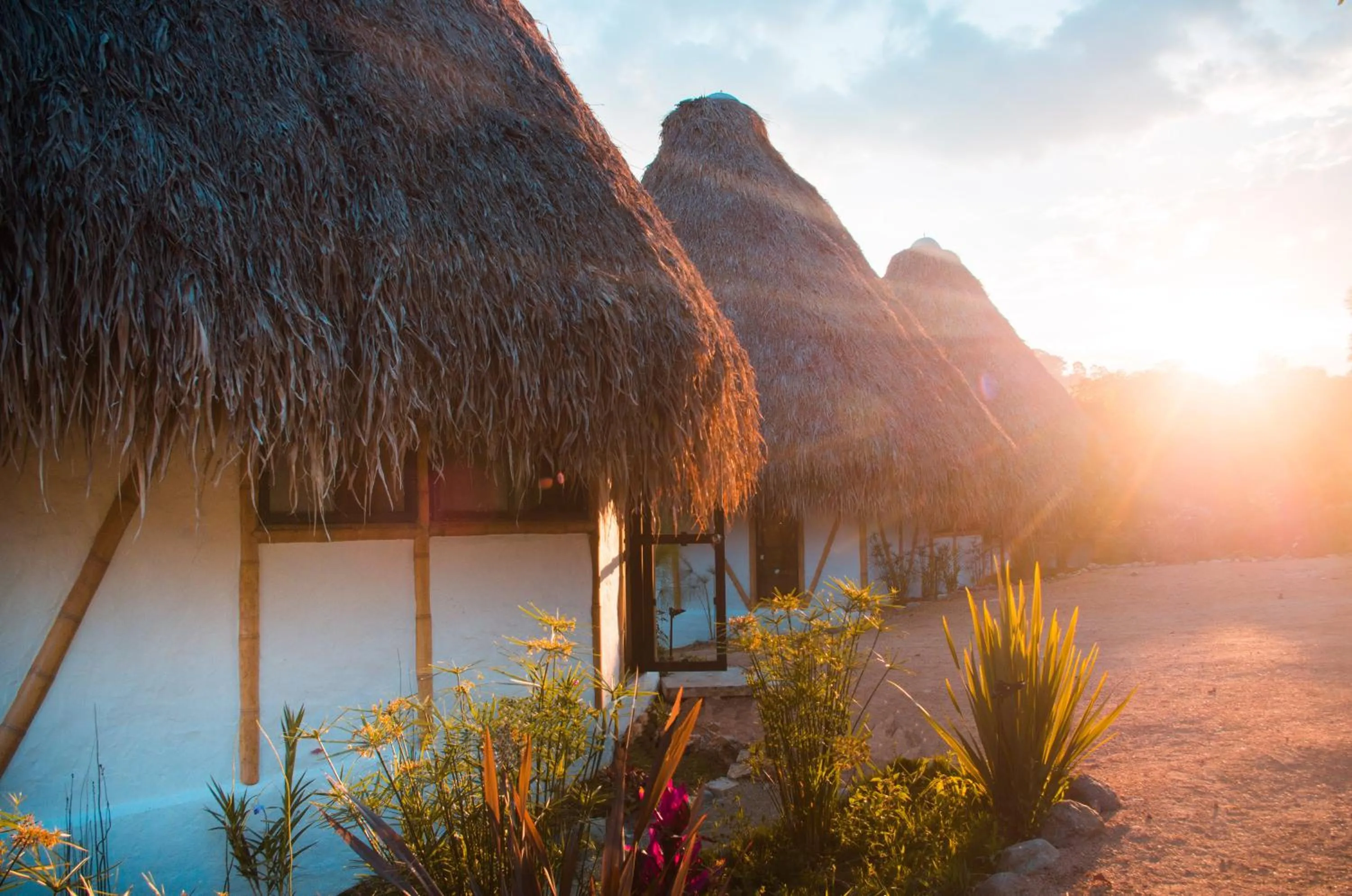 Sunrise in Ceiba by Masaya Collection