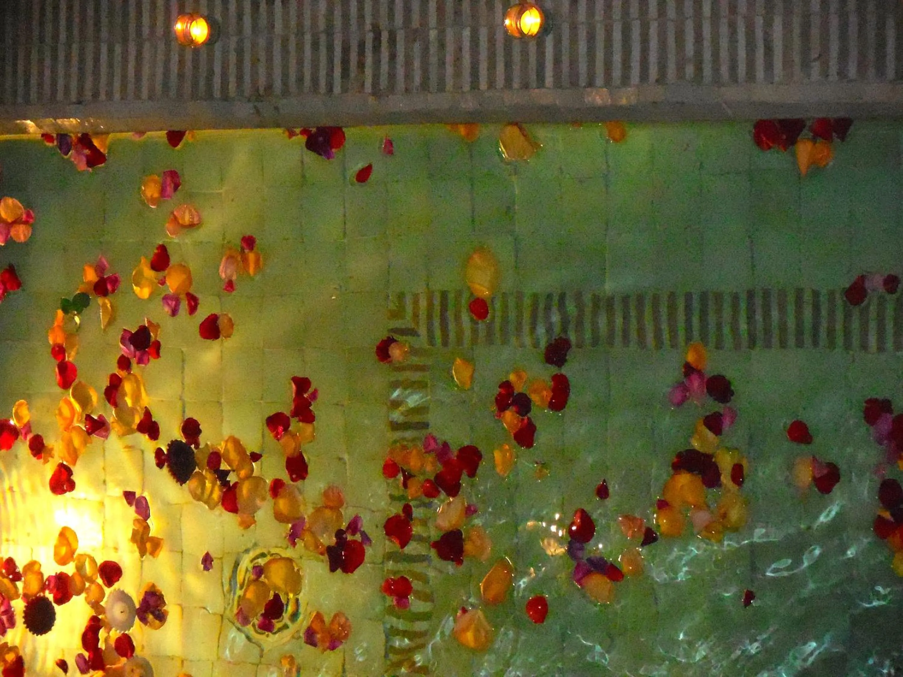 Animals in Riad Cocoon