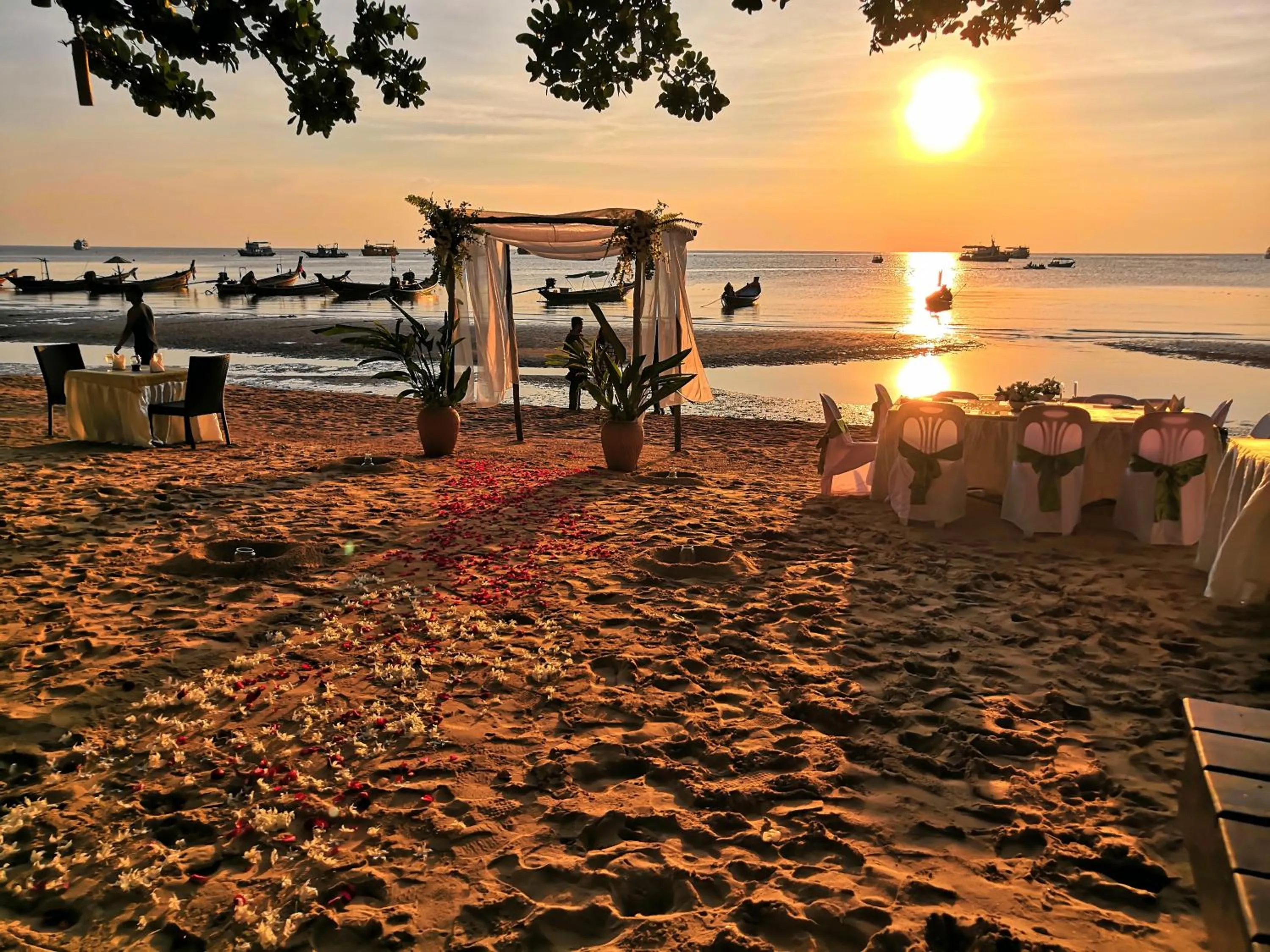 Summer in Sairee Hut Resort Koh Tao