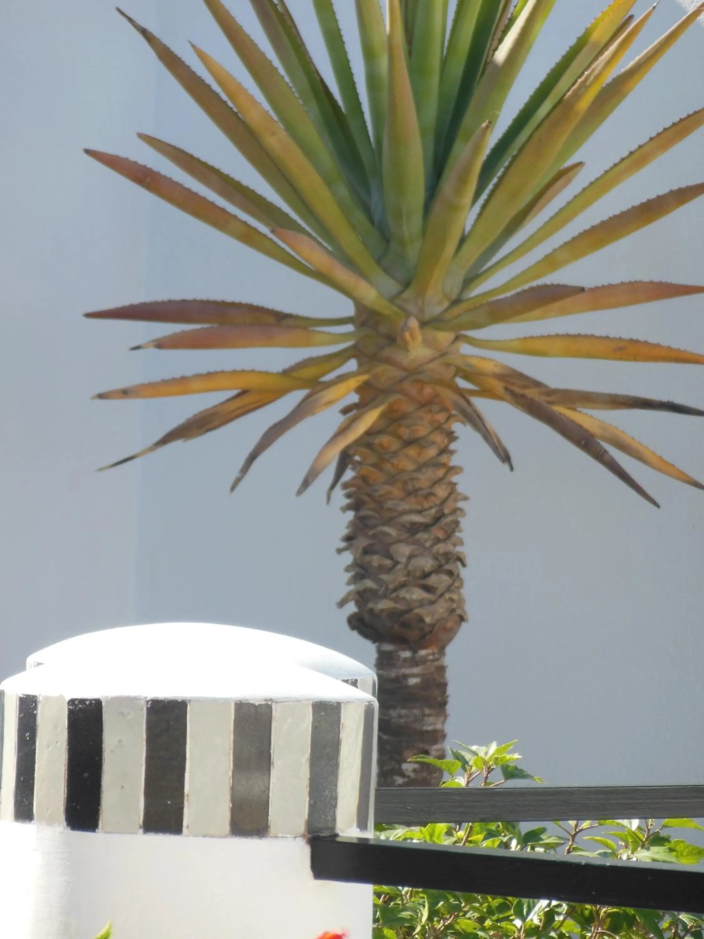 View (from property/room) in Riad Tchina