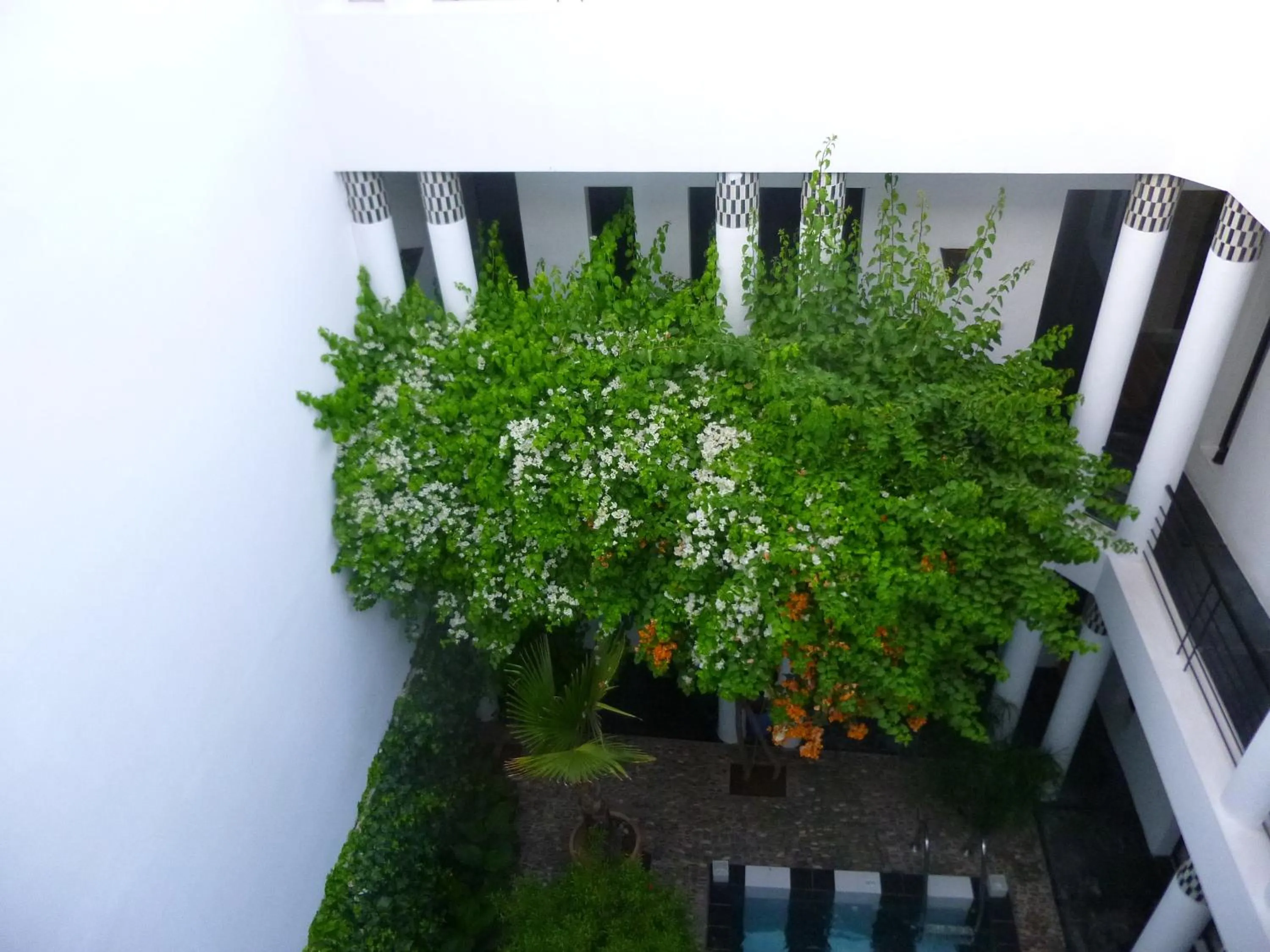 View (from property/room) in Riad Tchina