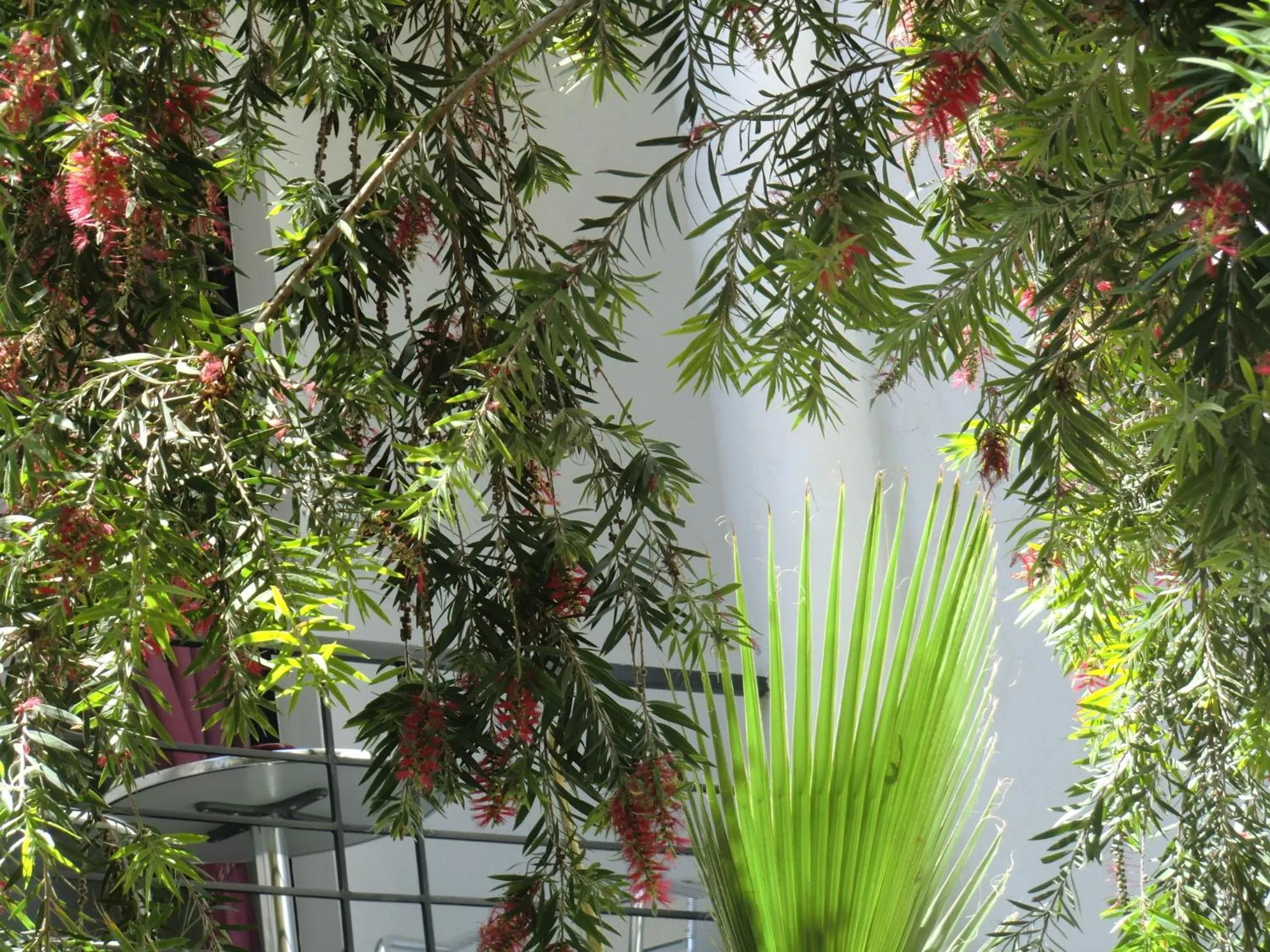 View (from property/room) in Riad Tchina