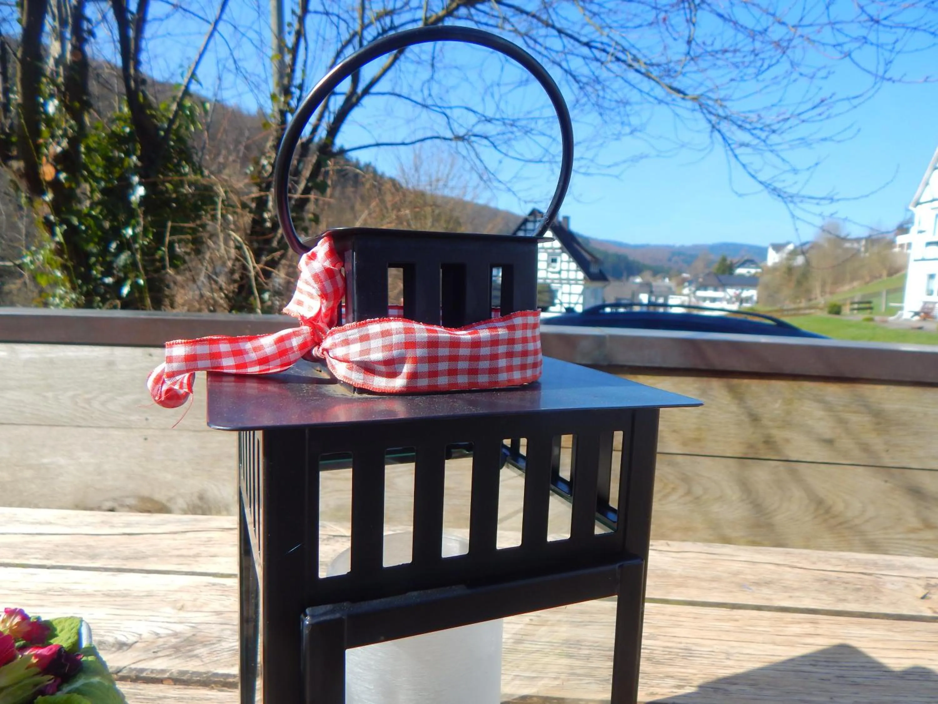 Mountain view in Hotel & Gasthof Hubertushöhe - Ihr Hotel für Urlaub mit Hund