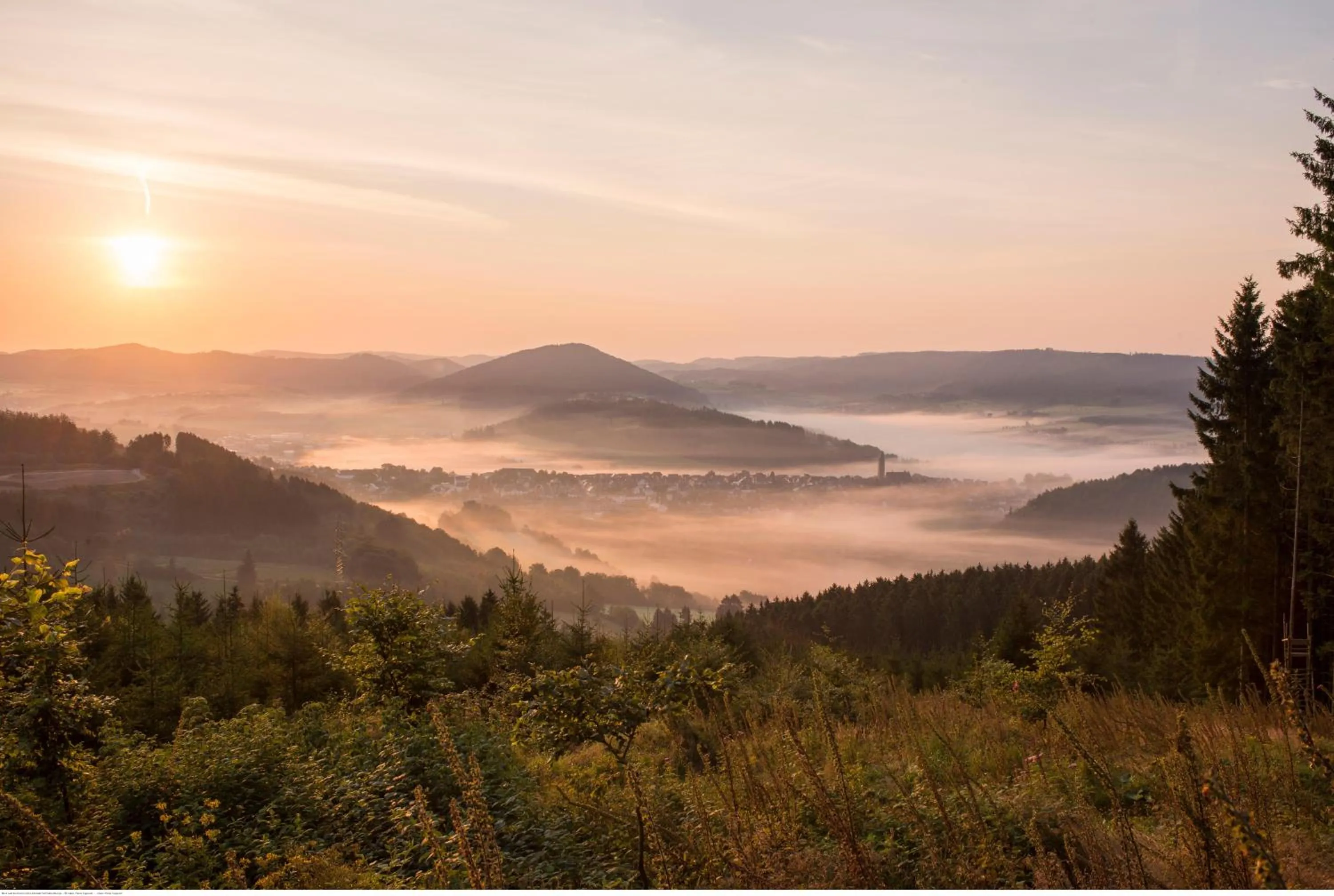Natural landscape in Hotel & Gasthof Hubertushöhe - Ihr Hotel für Urlaub mit Hund