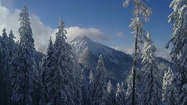 Area and facilities in Hotel Gasthof Brüggler