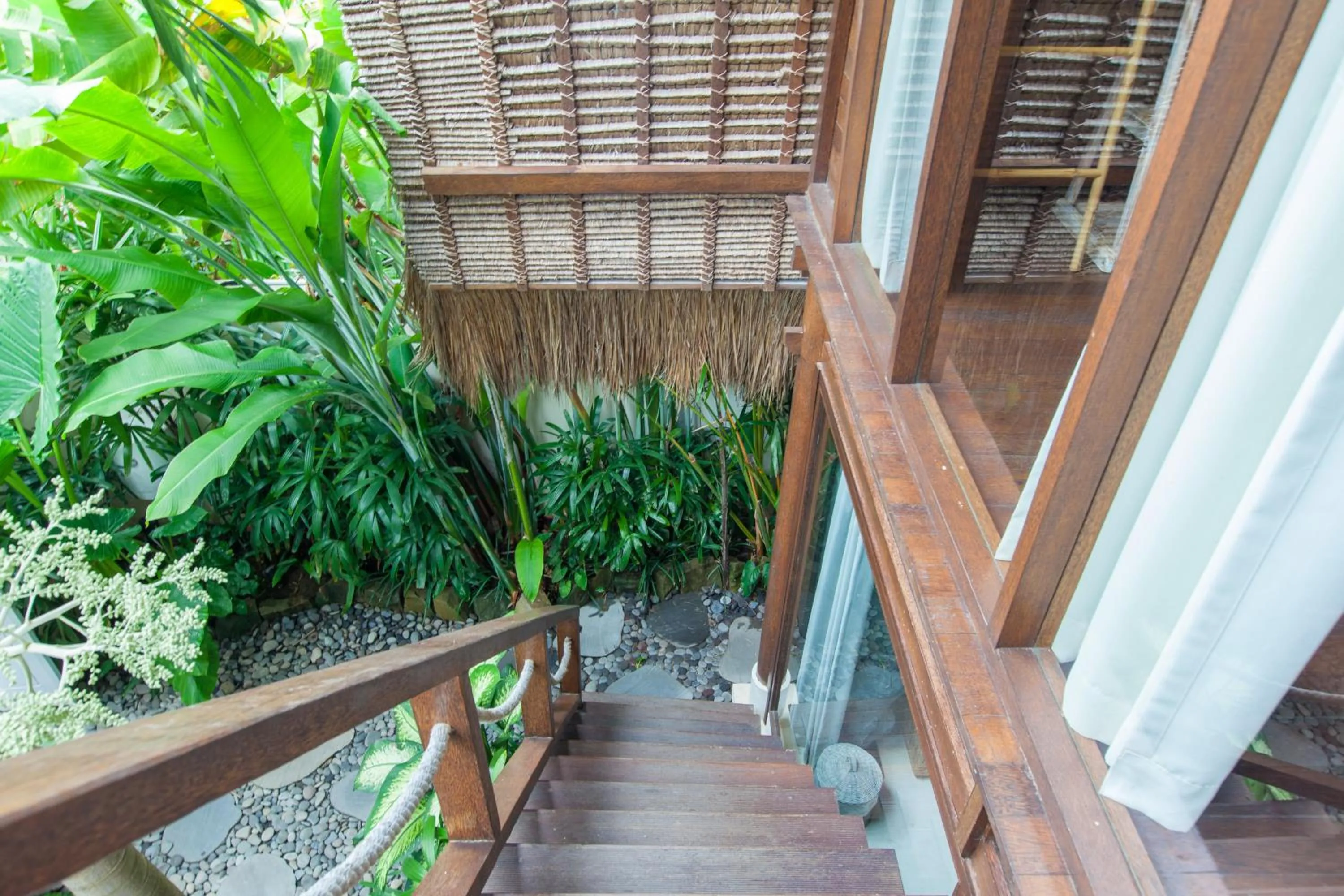 Garden view in The Green Room Seminyak