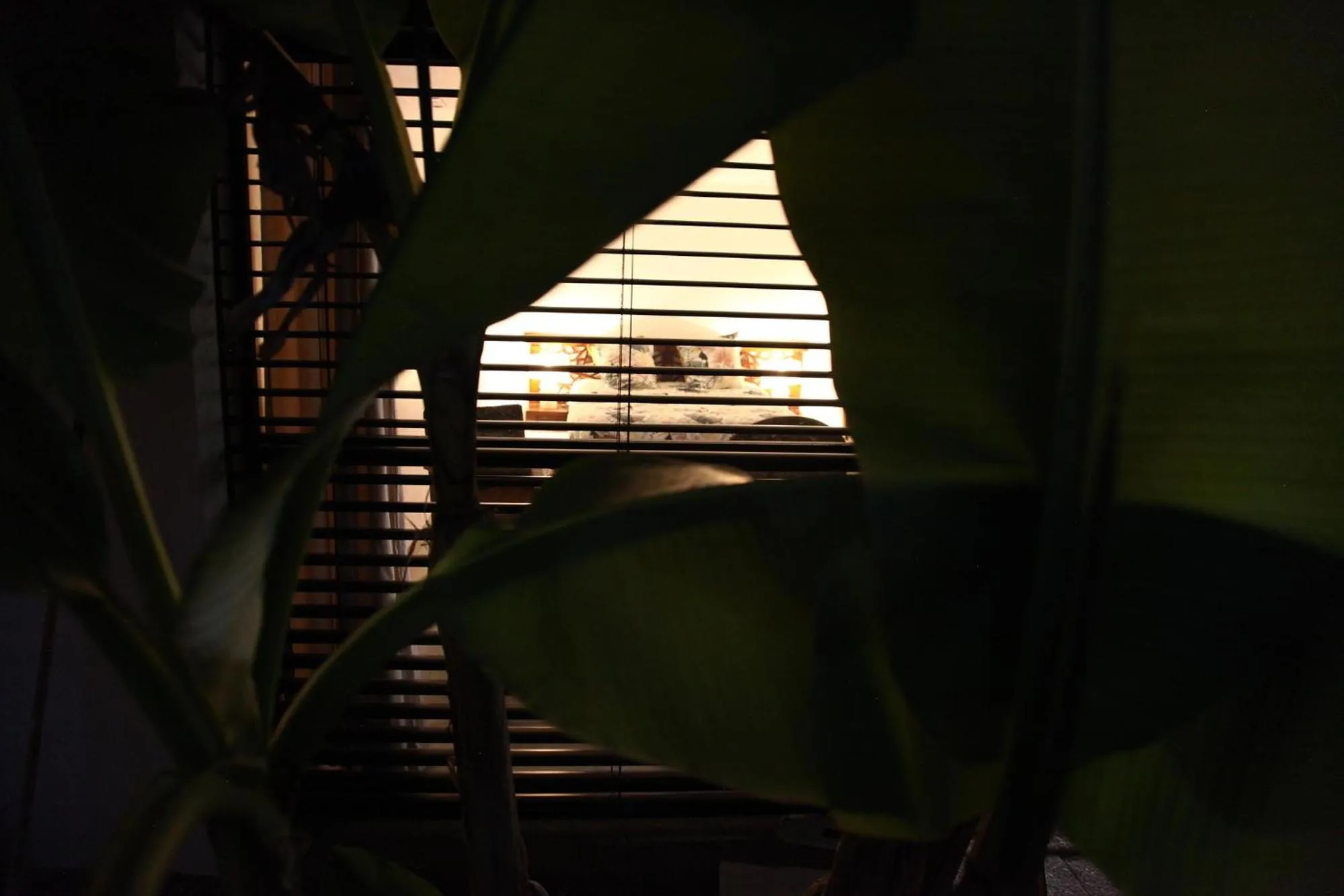 Bird's eye view in Villa Margaux