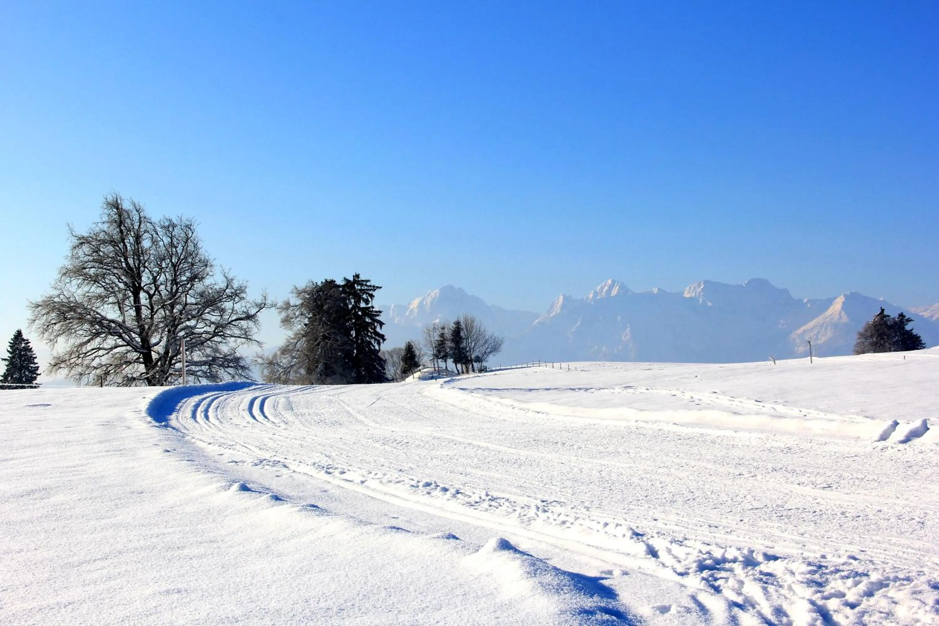 Natural landscape in Landhotel Schwarzenbach - Wellness & Spa