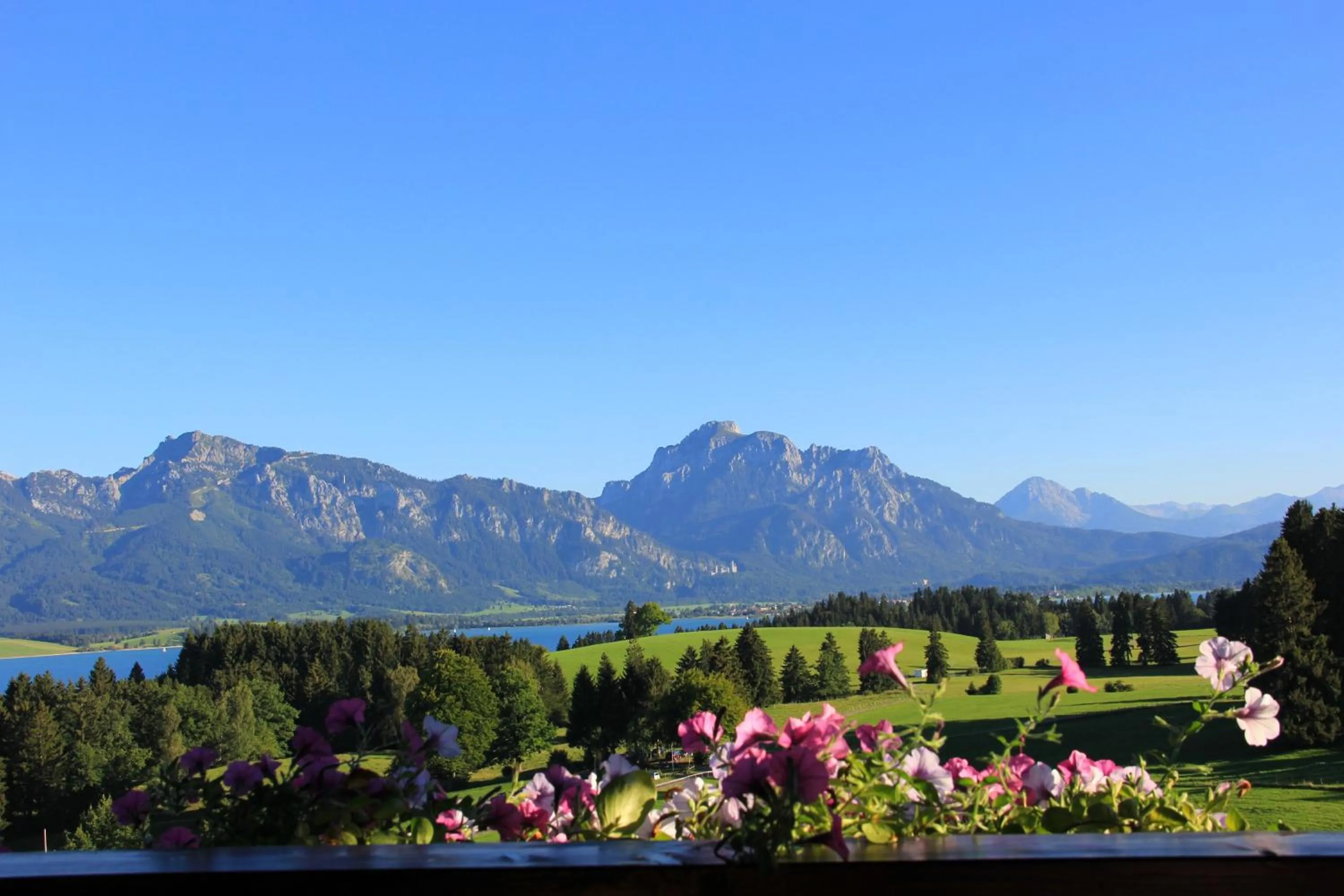 View (from property/room) in Landhotel Schwarzenbach - Wellness & Spa