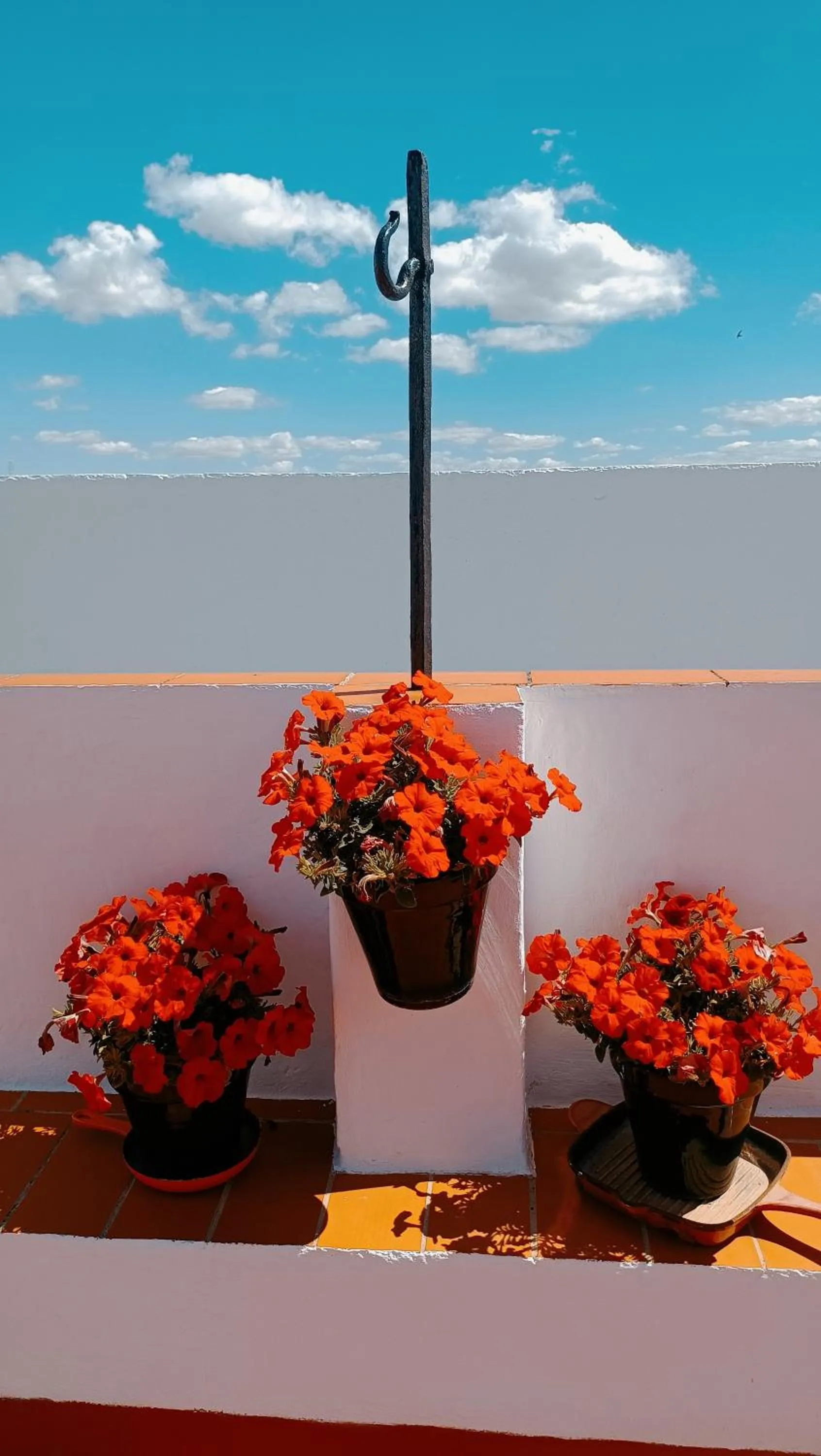 Balcony/Terrace in Casa Campana