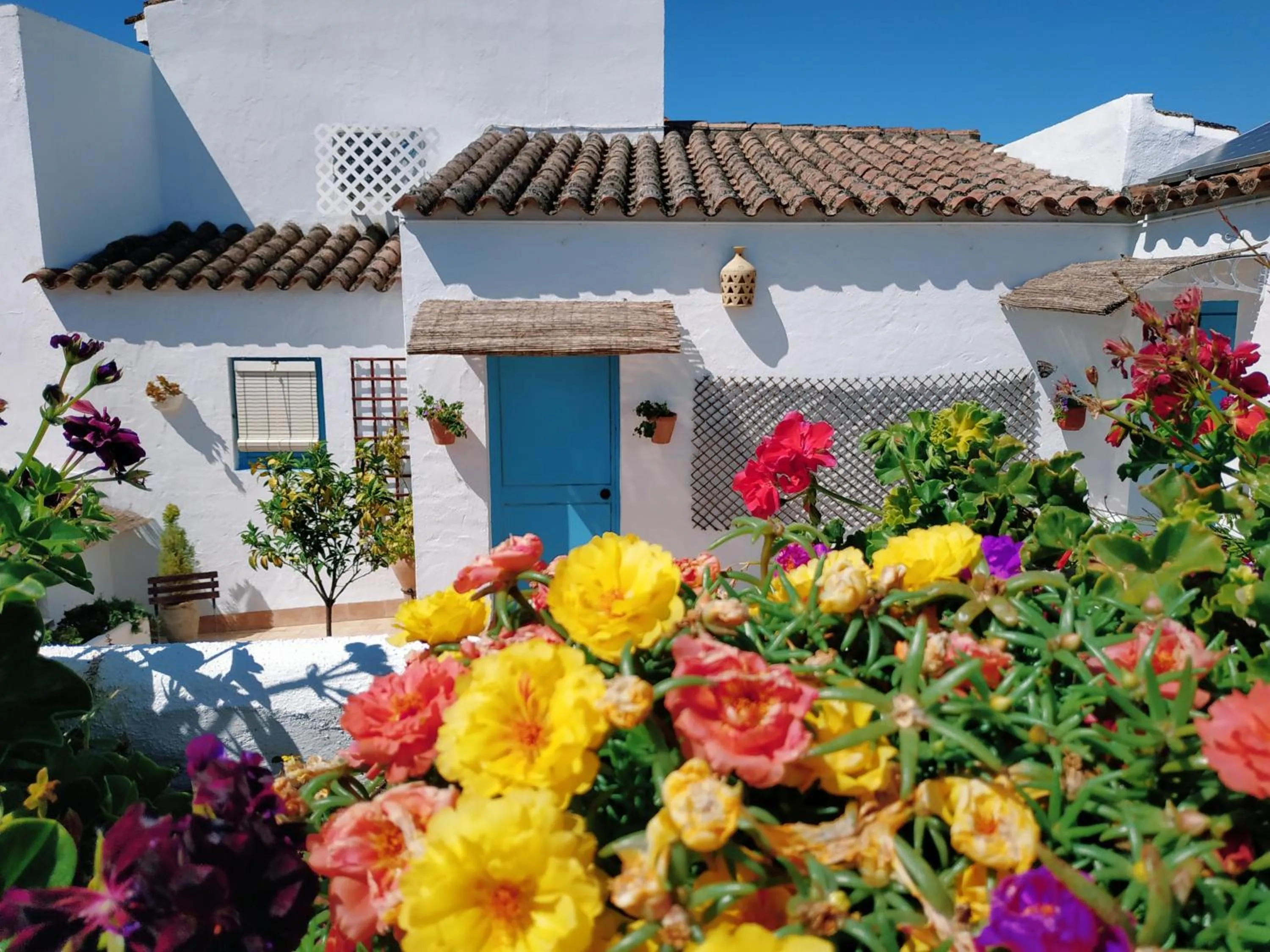 Balcony/Terrace in Casa Campana