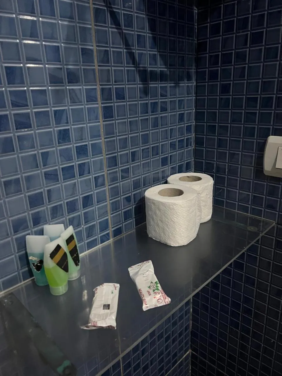 Toilet in Golden Hotel Cairo