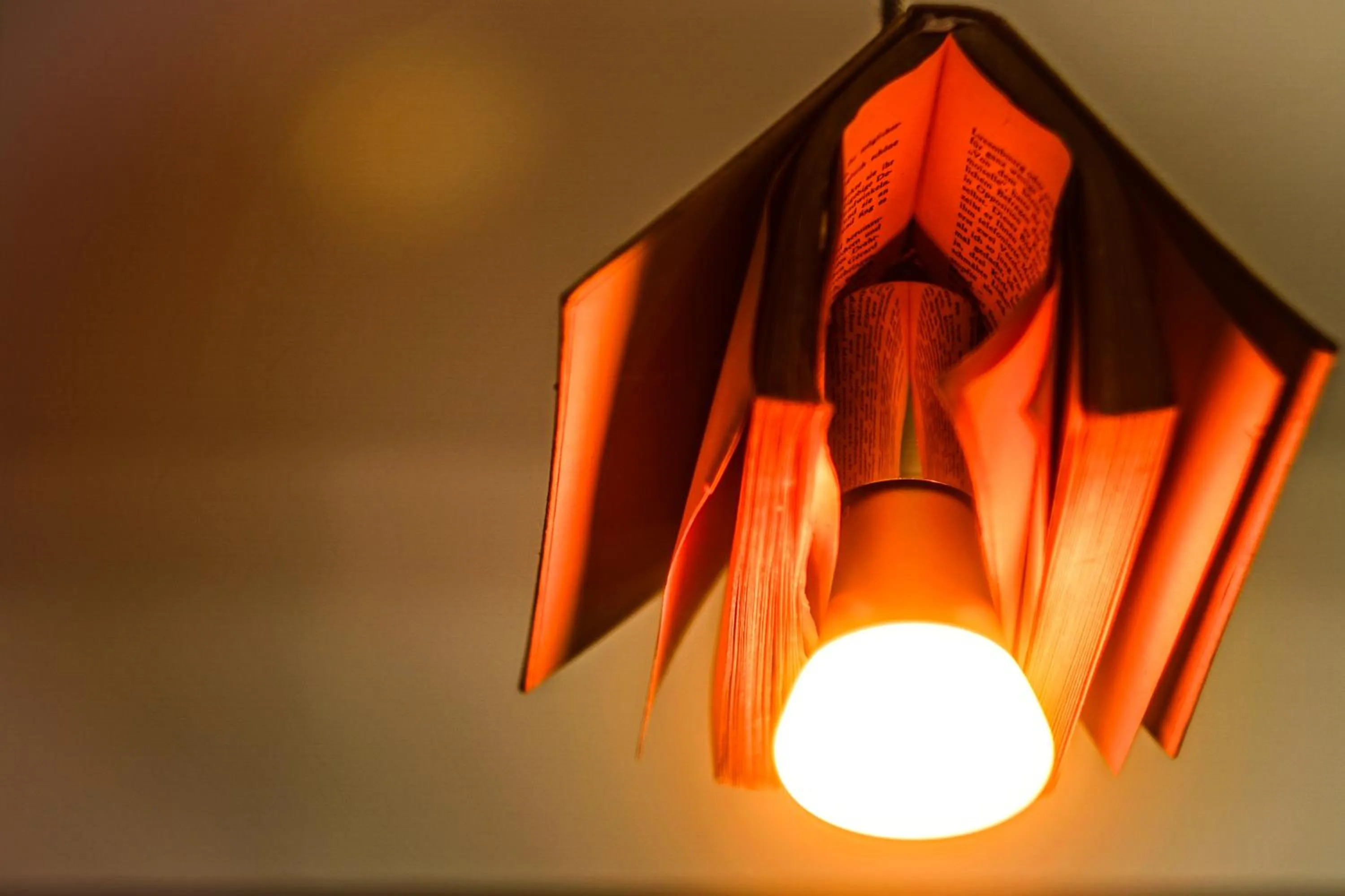 Lobby or reception in Hotel Bett und Buch